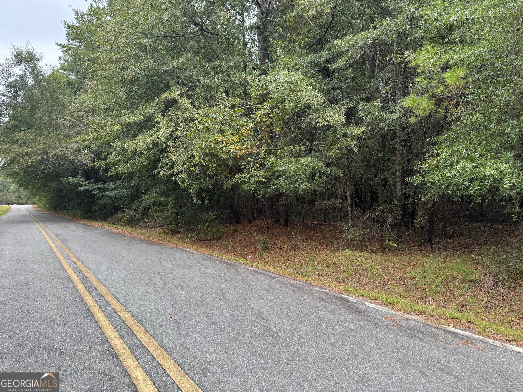 agriculture for sale at 0 Glen Drive, East Dublin, GA 31027 — photo 5