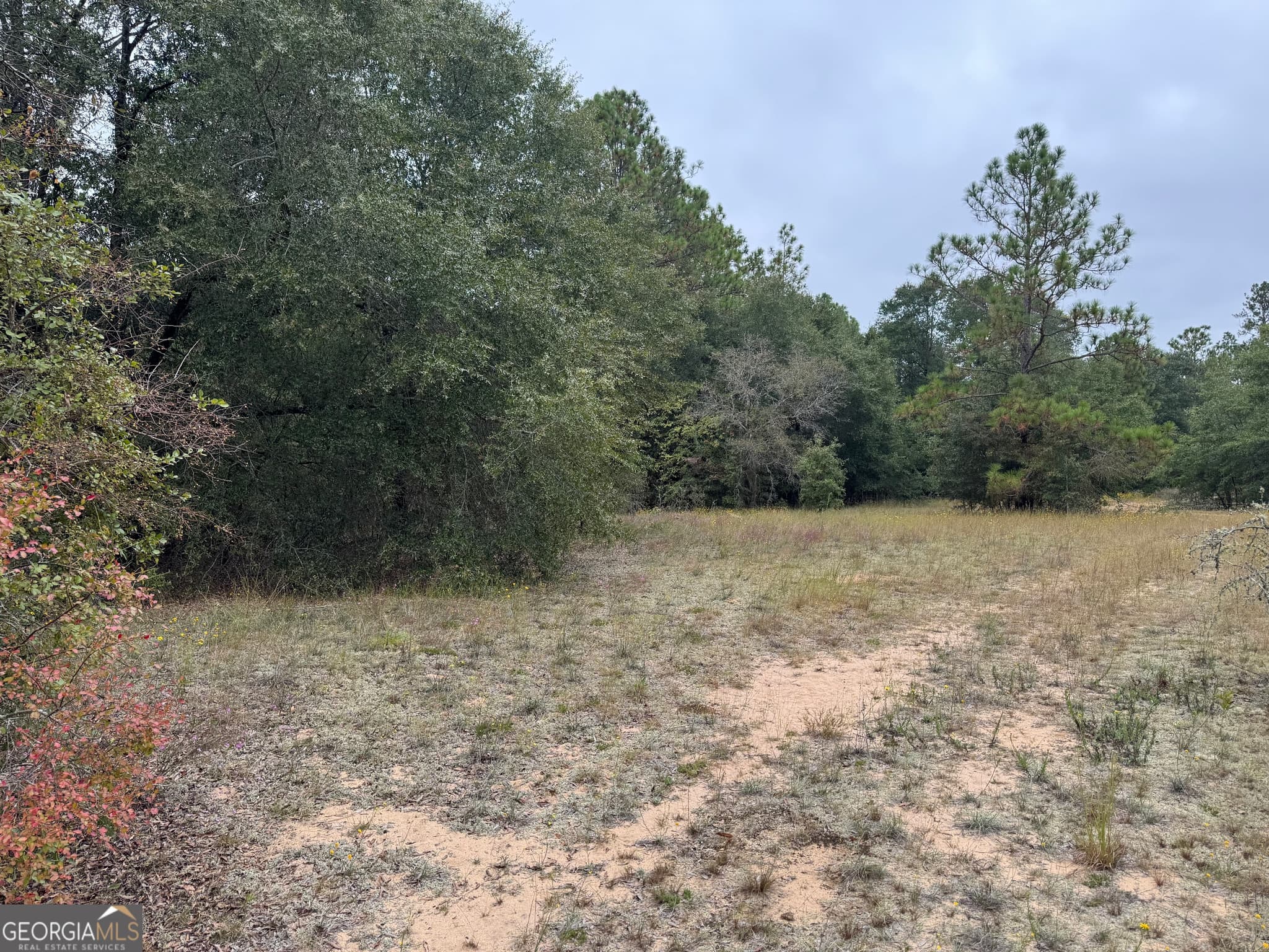 agriculture for sale at 0 Glen Drive, East Dublin, GA 31027 — photo 9
