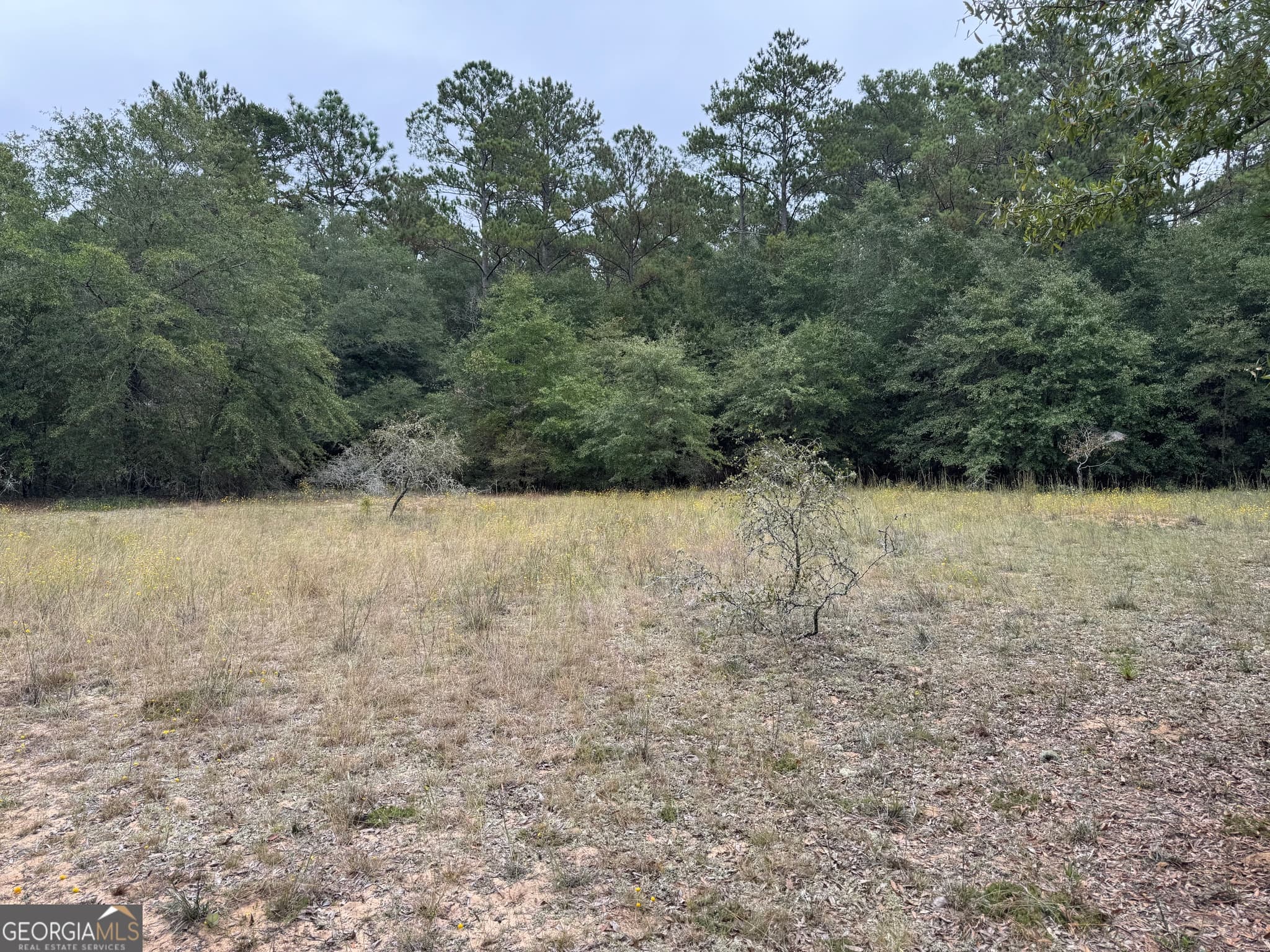 agriculture for sale at 0 Glen Drive, East Dublin, GA 31027 — photo 10