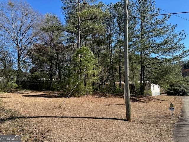 unimproved land for sale at 11822 Ga Hwy 92, Woodstock, GA 30188 — photo 3