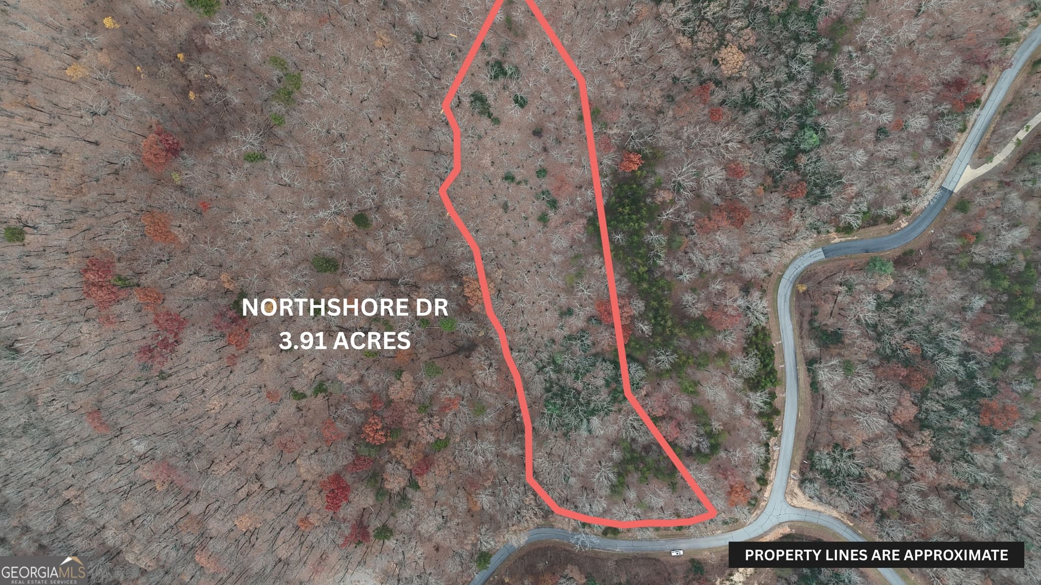 residential lot for sale at LOT 183 Northshore Drive, Cleveland, GA 30528 — photo 2