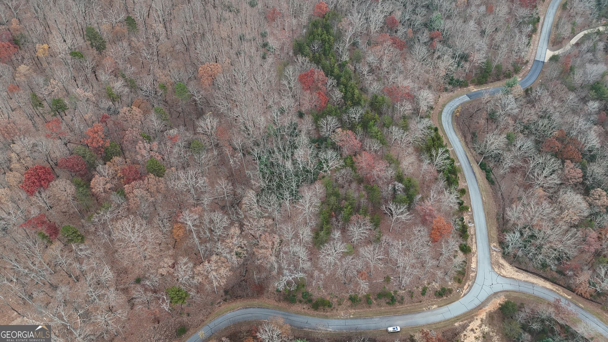 residential lot for sale at LOT 183 Northshore Drive, Cleveland, GA 30528 — photo 6