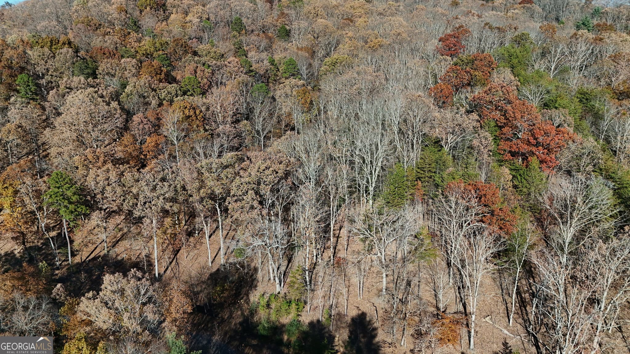 residential lot for sale at LOT 183 Northshore Drive, Cleveland, GA 30528 — photo 3