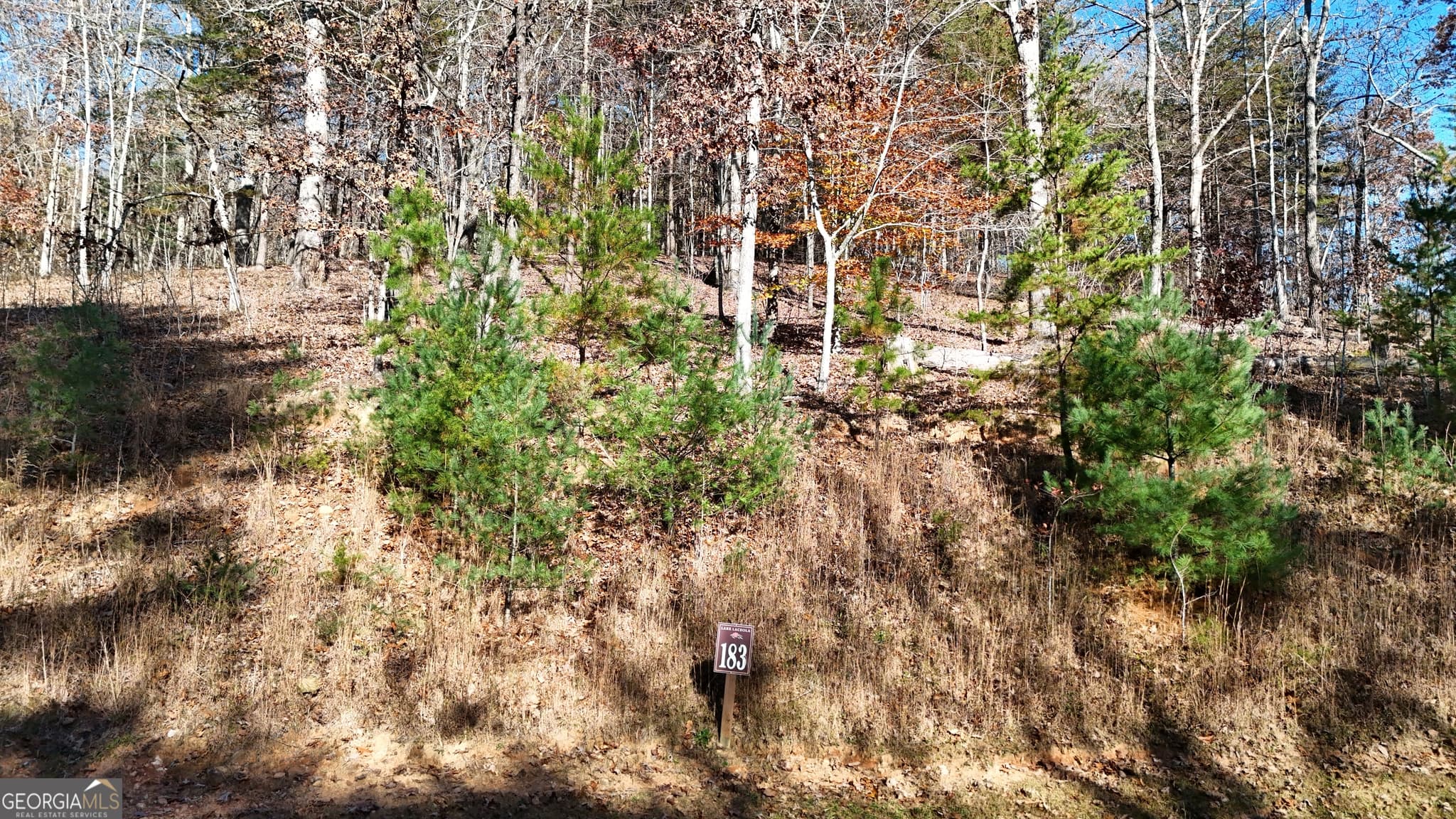 residential lot for sale at LOT 183 Northshore Drive, Cleveland, GA 30528 — photo 1 of 6
