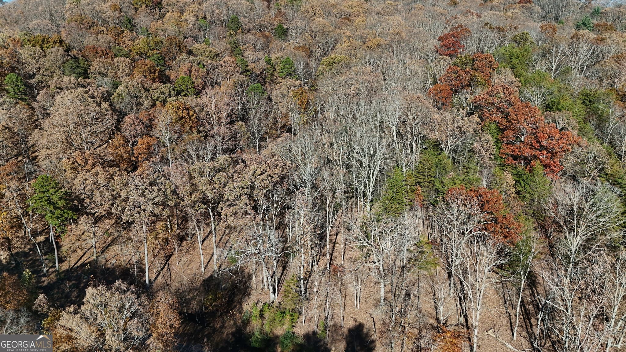 residential lot for sale at LOT 183 Northshore Drive, Cleveland, GA 30528 — photo 5