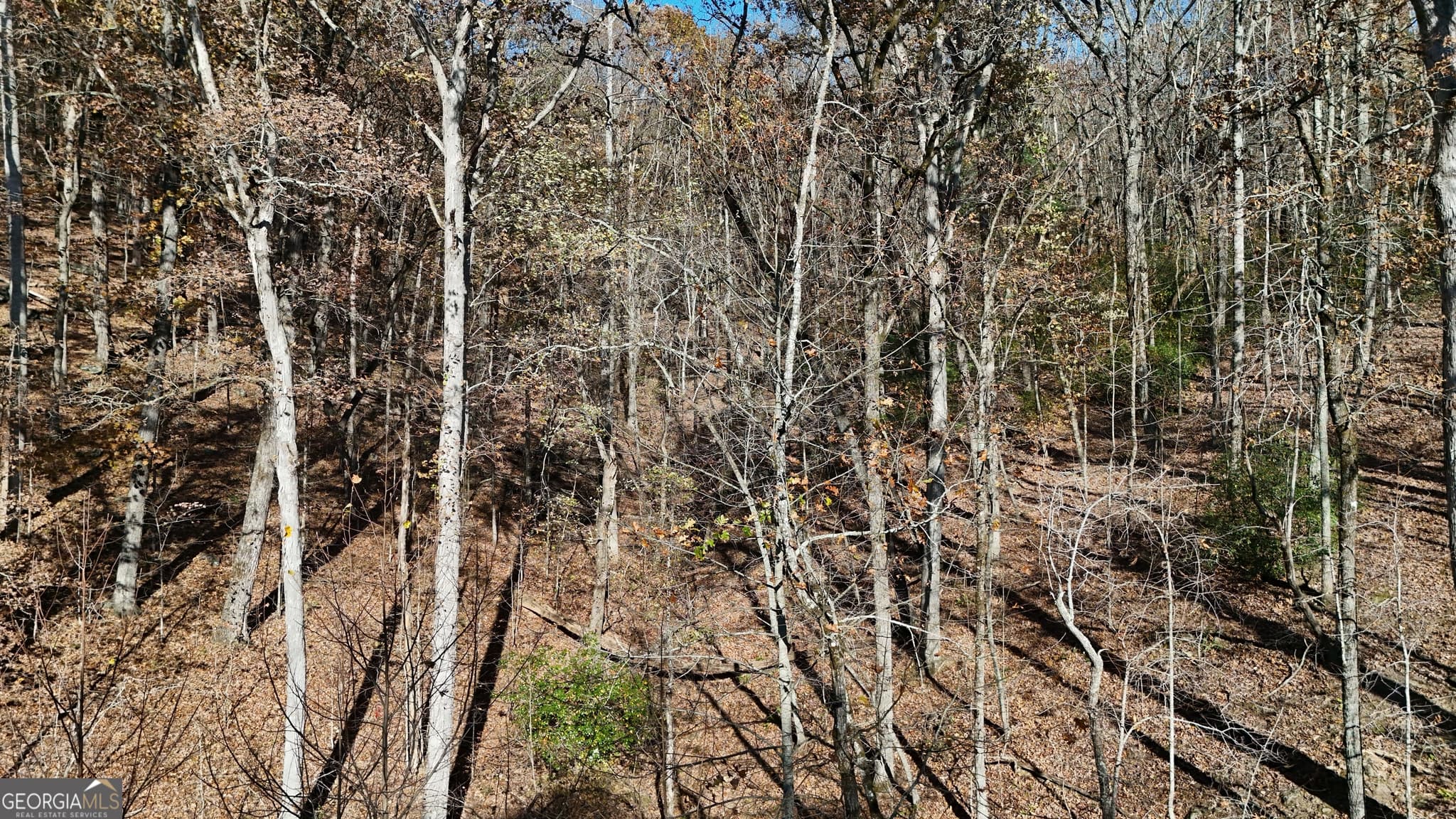 residential lot for sale at LOT 183 Northshore Drive, Cleveland, GA 30528 — photo 4
