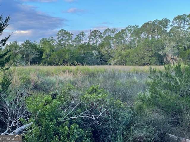 residential lot for sale at 120 Montrose, St. Simons, GA 31522 — photo 4