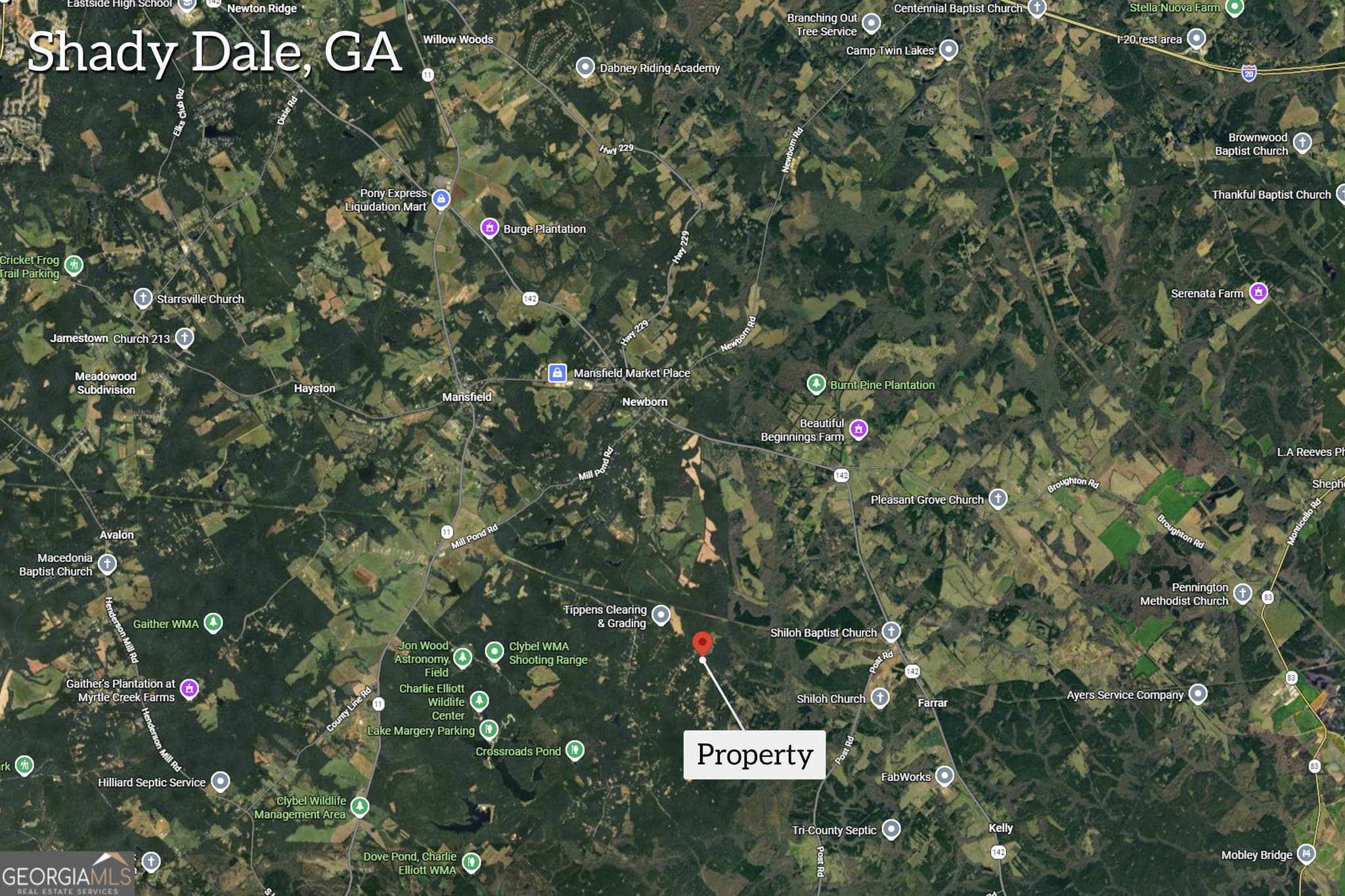 agriculture for sale at LOT D 0 Pitts Chapel Road, Monticello, GA 31064 — photo 2