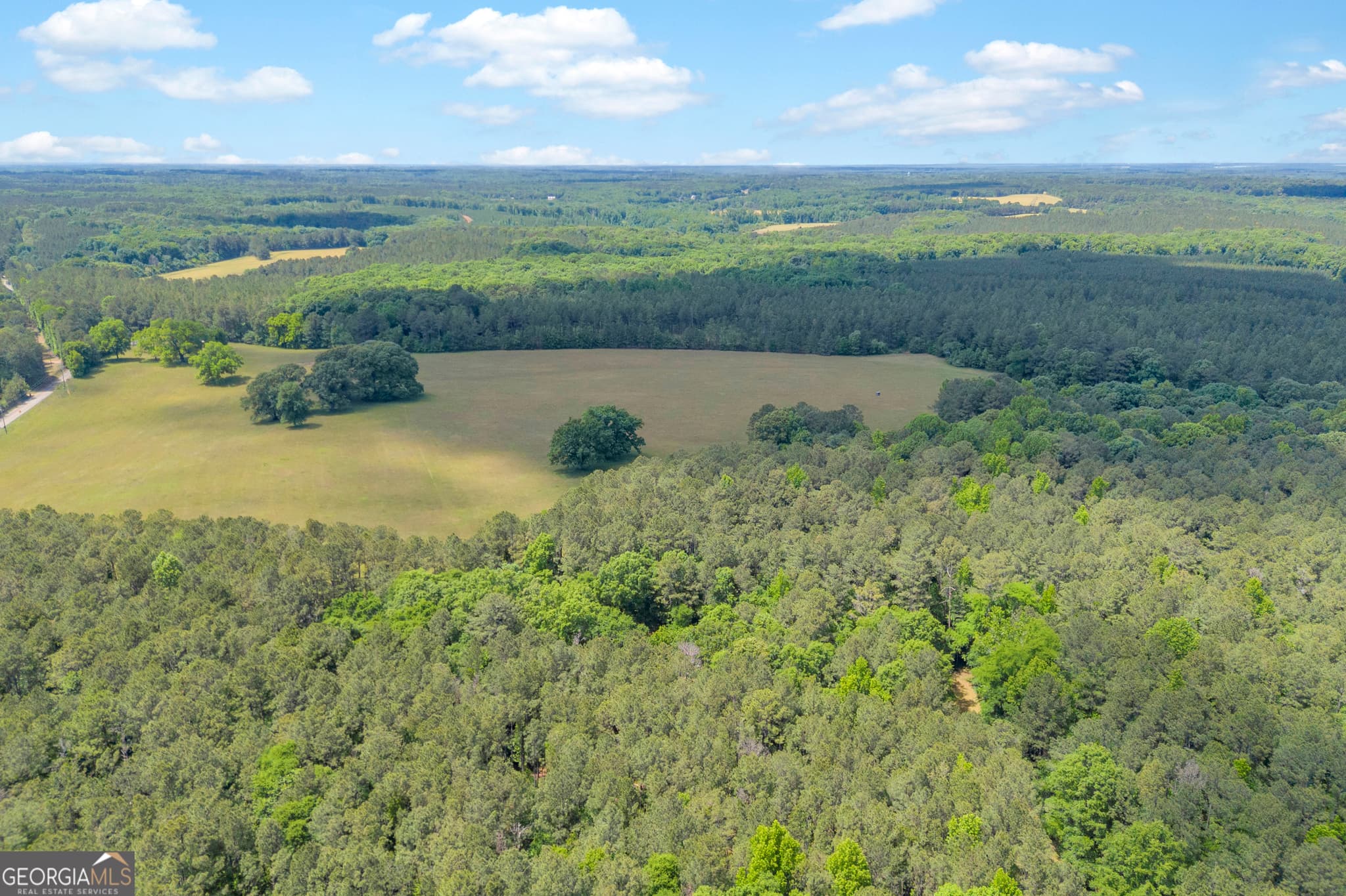 agriculture for sale at LOT D 0 Pitts Chapel Road, Monticello, GA 31064 — photo 3