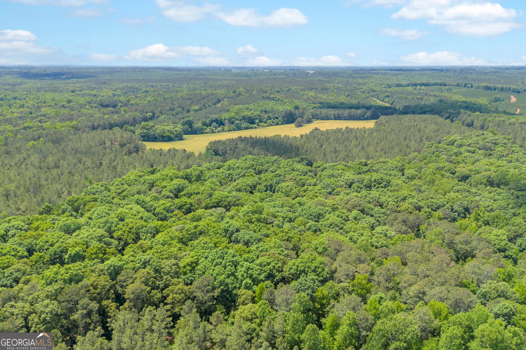 agriculture for sale at LOT D 0 Pitts Chapel Road, Monticello, GA 31064 — photo 4