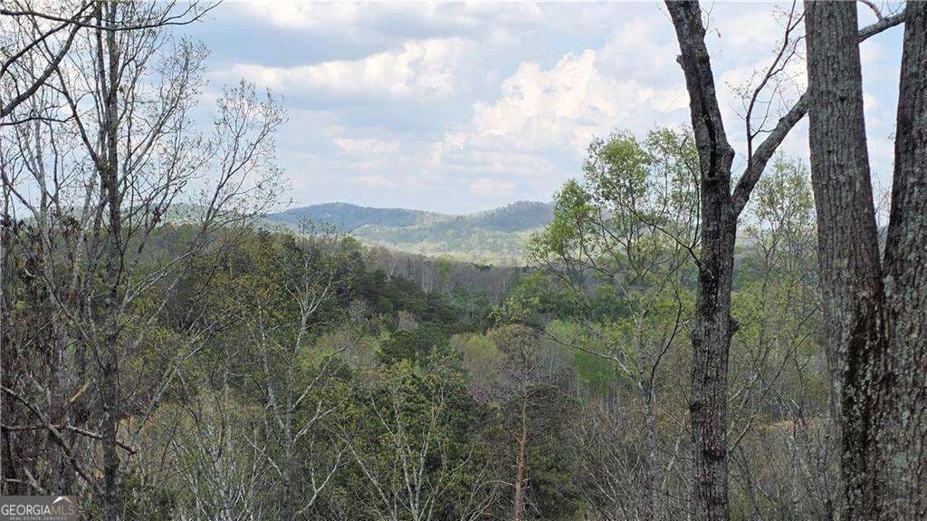 unimproved land for sale at 611 Pack Road, Ranger, GA 30734 — photo 2