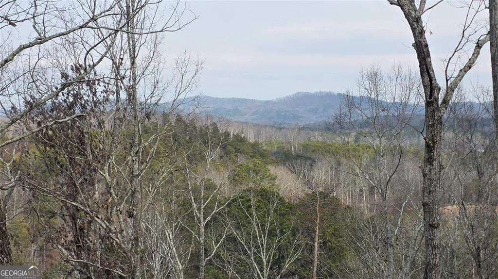unimproved land for sale at 611 Pack Road, Ranger, GA 30734 — photo 6