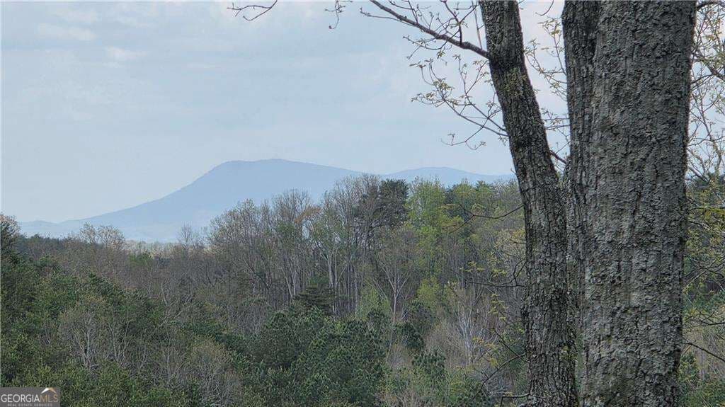 unimproved land for sale at 611 Pack Road, Ranger, GA 30734 — photo 7