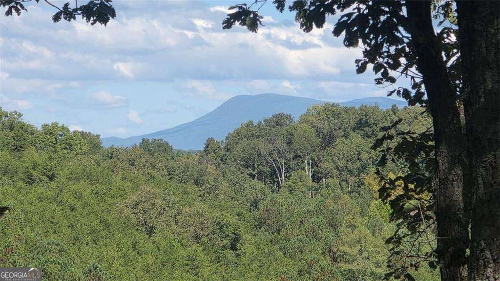 unimproved land for sale at 611 Pack Road, Ranger, GA 30734 — photo 5