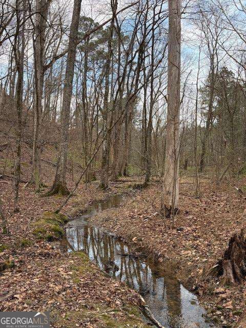 unimproved land for sale at 611 Pack Road, Ranger, GA 30734 — photo 9