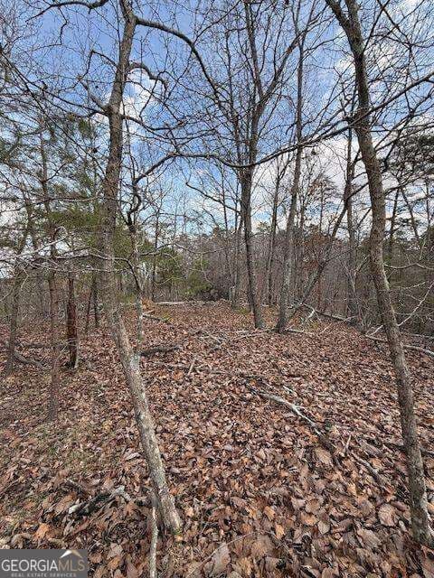 unimproved land for sale at 611 Pack Road, Ranger, GA 30734 — photo 10