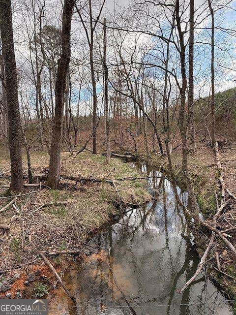 unimproved land for sale at 611 Pack Road, Ranger, GA 30734 — photo 8