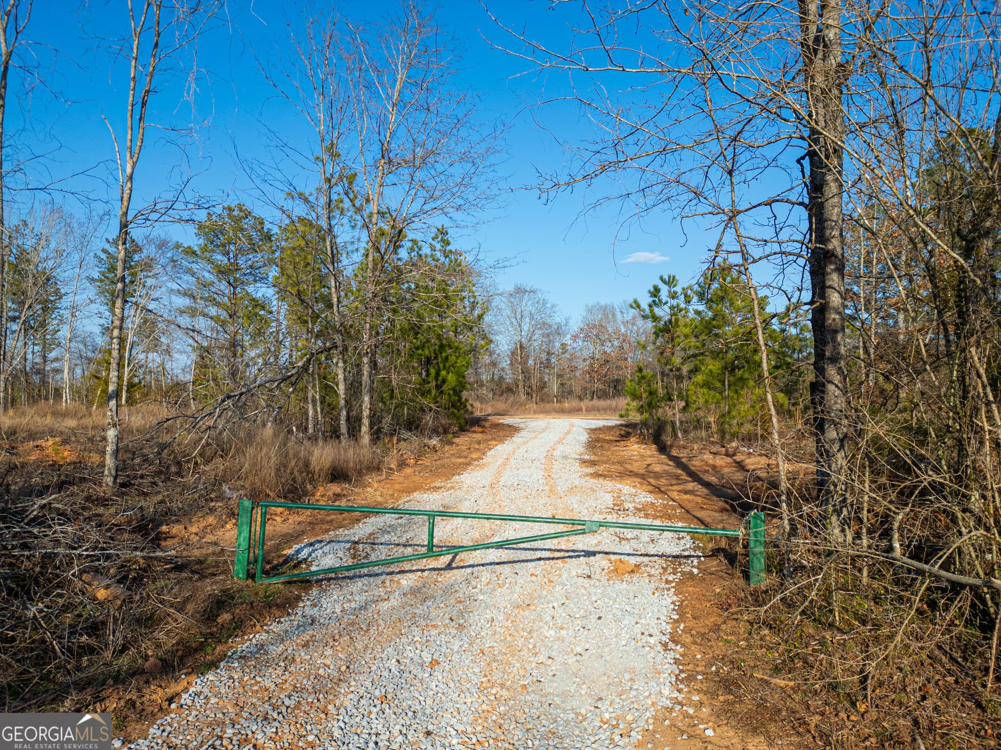 agriculture for sale at 3 Smith Rocky Branch Road, Carlton, GA 30627 — photo 2