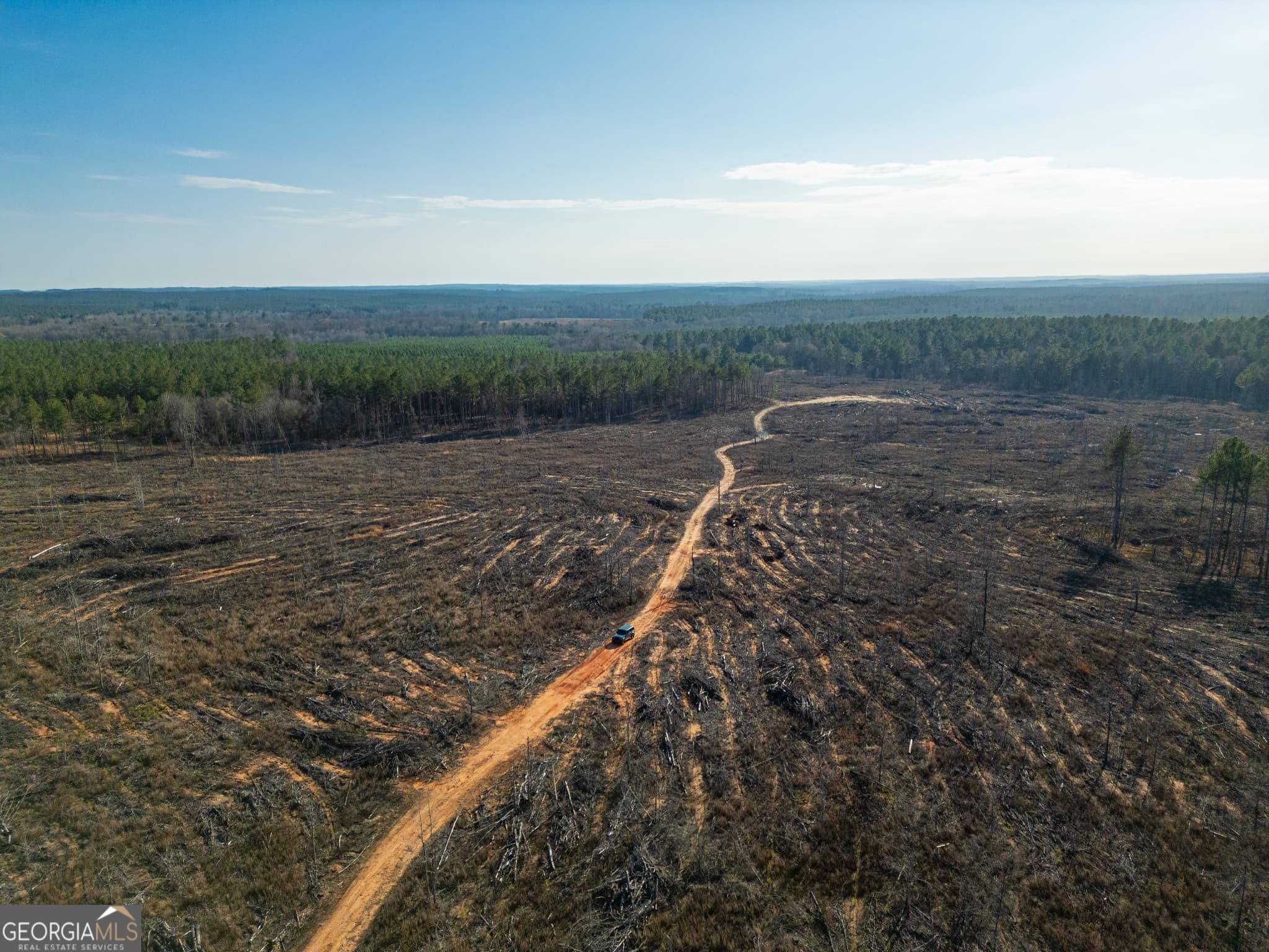 agriculture for sale at 3 Smith Rocky Branch Road, Carlton, GA 30627 — photo 7