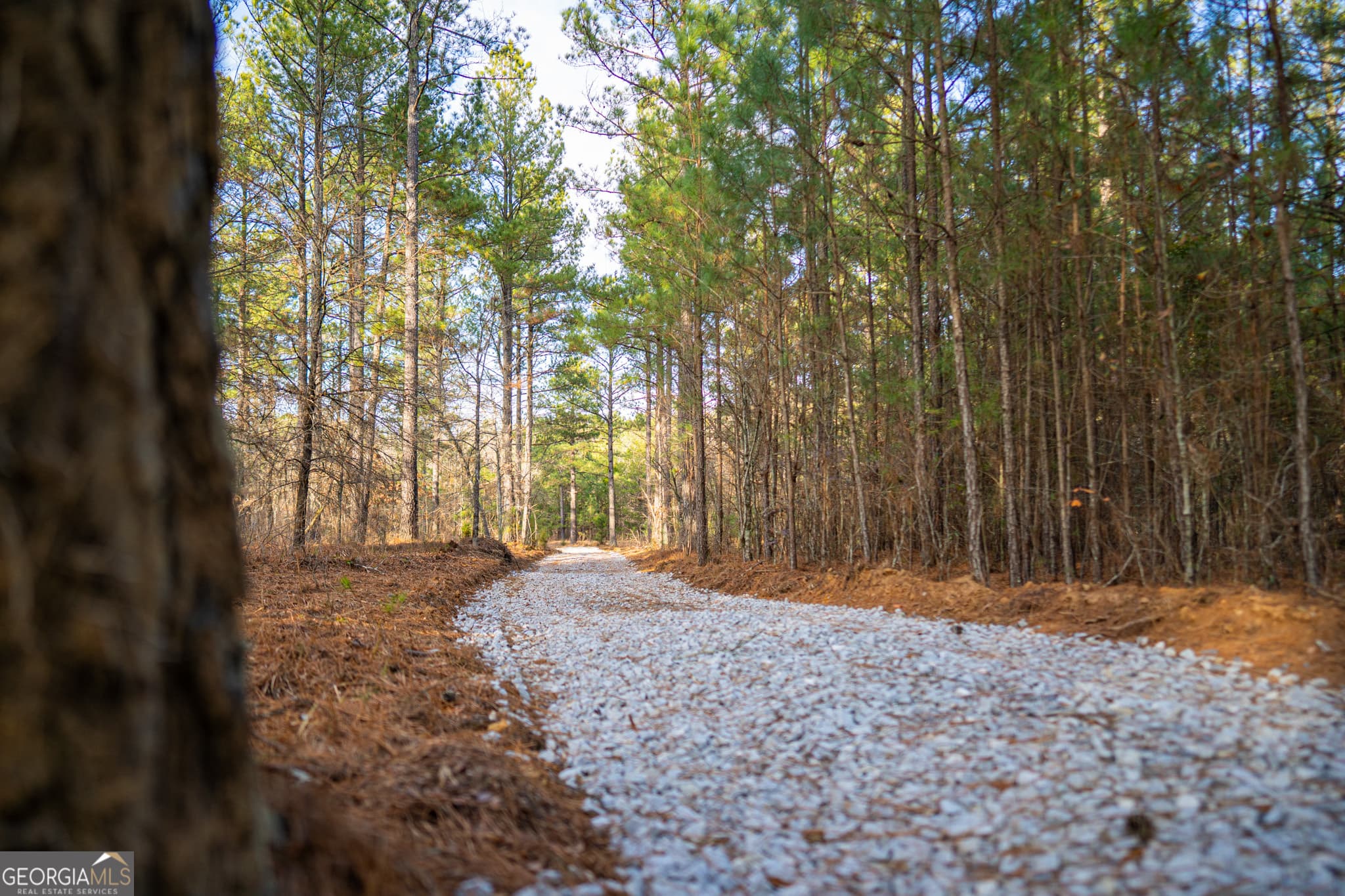 agriculture for sale at 3 Smith Rocky Branch Road, Carlton, GA 30627
