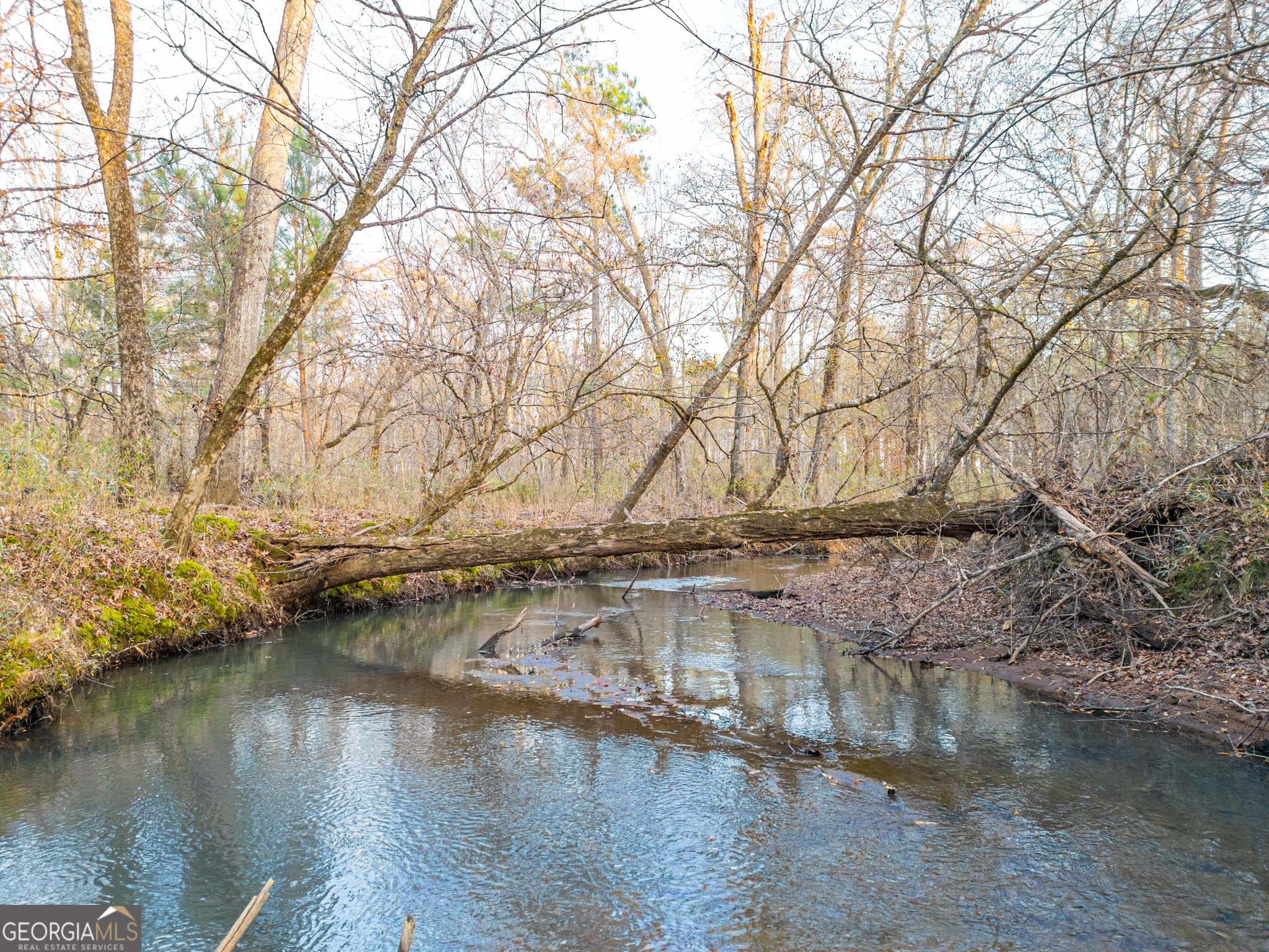 agriculture for sale at 3 Smith Rocky Branch Road, Carlton, GA 30627 — photo 10
