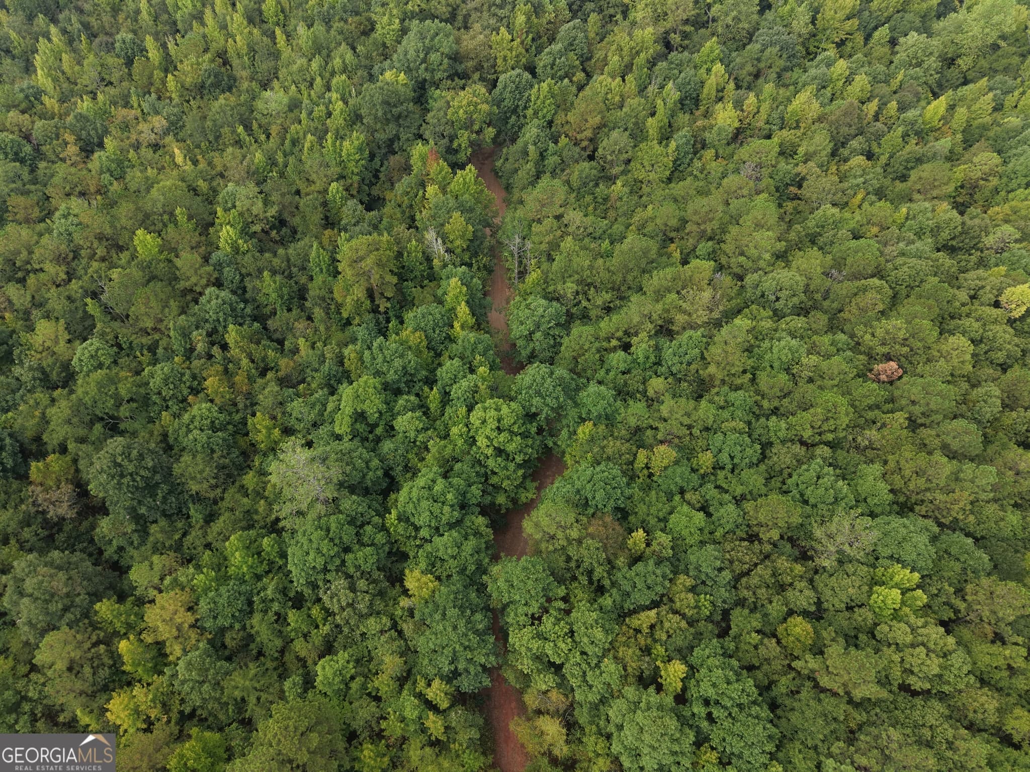 unimproved land for sale at 2643 Deepstep Creek Road, Sandersville, GA 31082 — photo 6