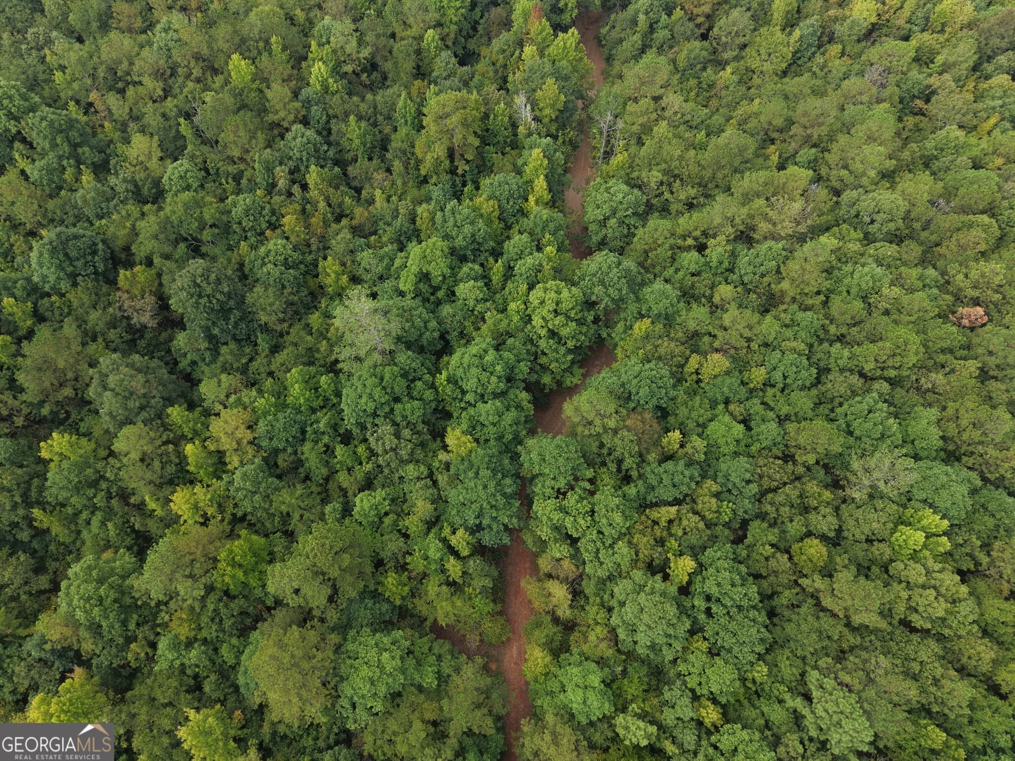 unimproved land for sale at 2643 Deepstep Creek Road, Sandersville, GA 31082 — photo 5