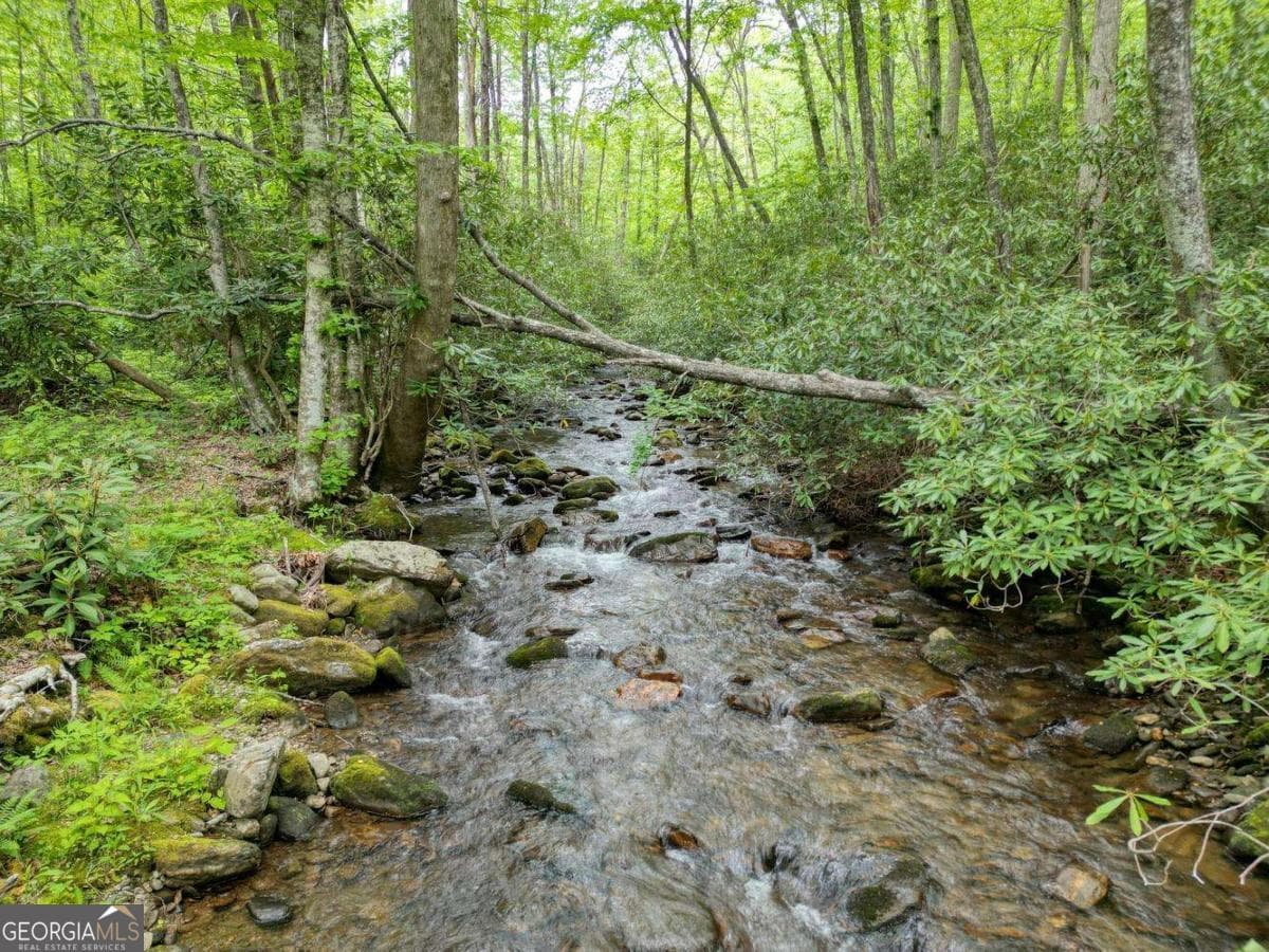 2 bedroom, 2 bathroom, 1,683 sq ft cabin,single family residence for sale at 180 Dream Catcher Cove, Hayesville, NC 28904 — photo 10
