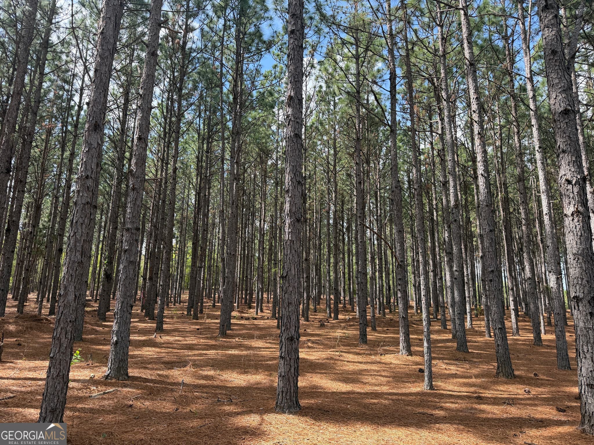 agriculture for sale at 09 Barge Road, Lumpkin, GA 31815