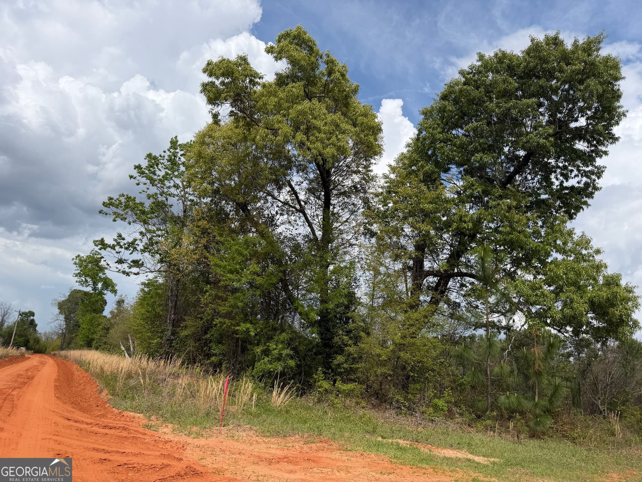 agriculture for sale at 09 Barge Road, Lumpkin, GA 31815 — photo 5