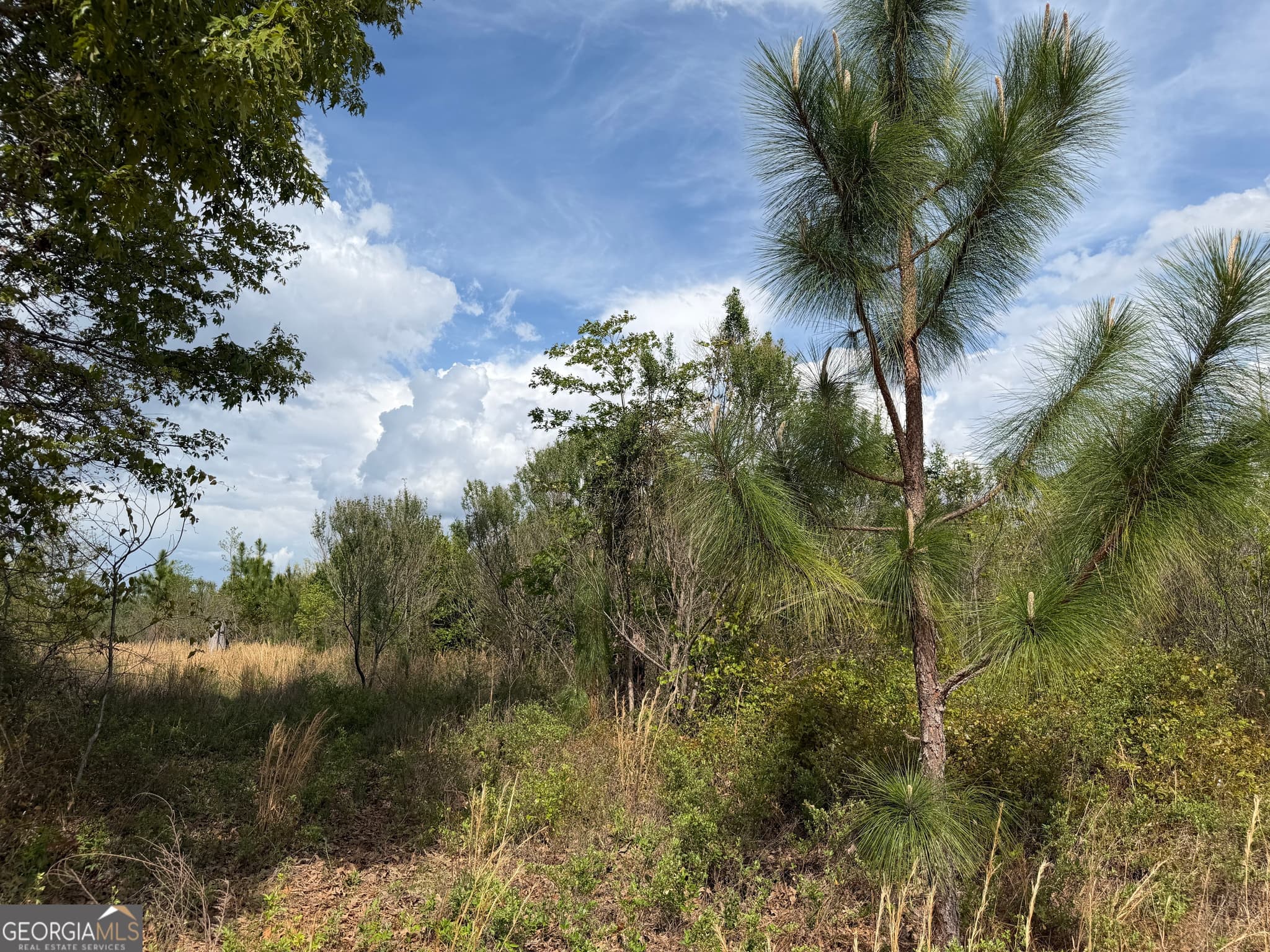 agriculture for sale at 09 Barge Road, Lumpkin, GA 31815 — photo 9