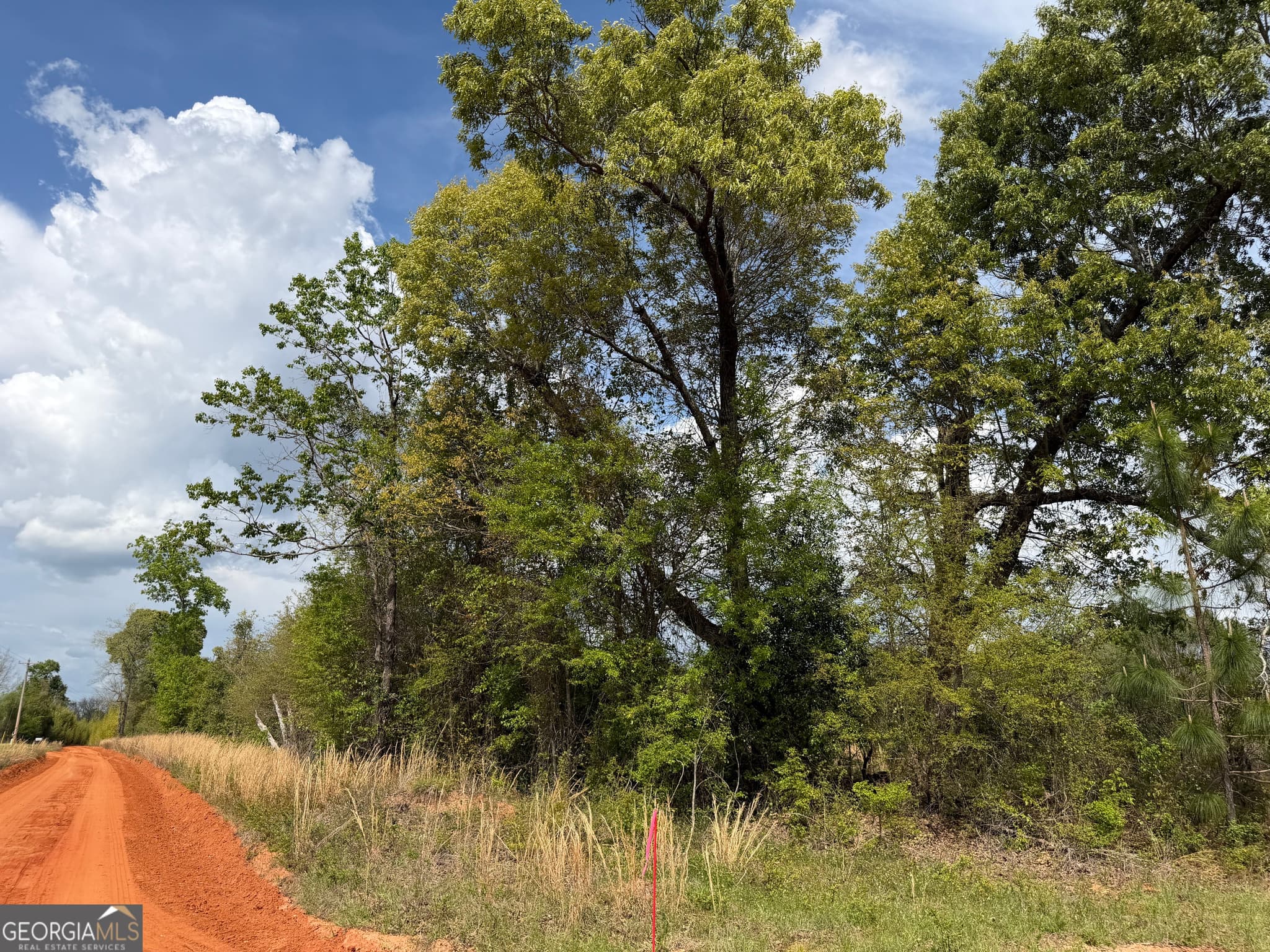 agriculture for sale at 09 Barge Road, Lumpkin, GA 31815 — photo 10