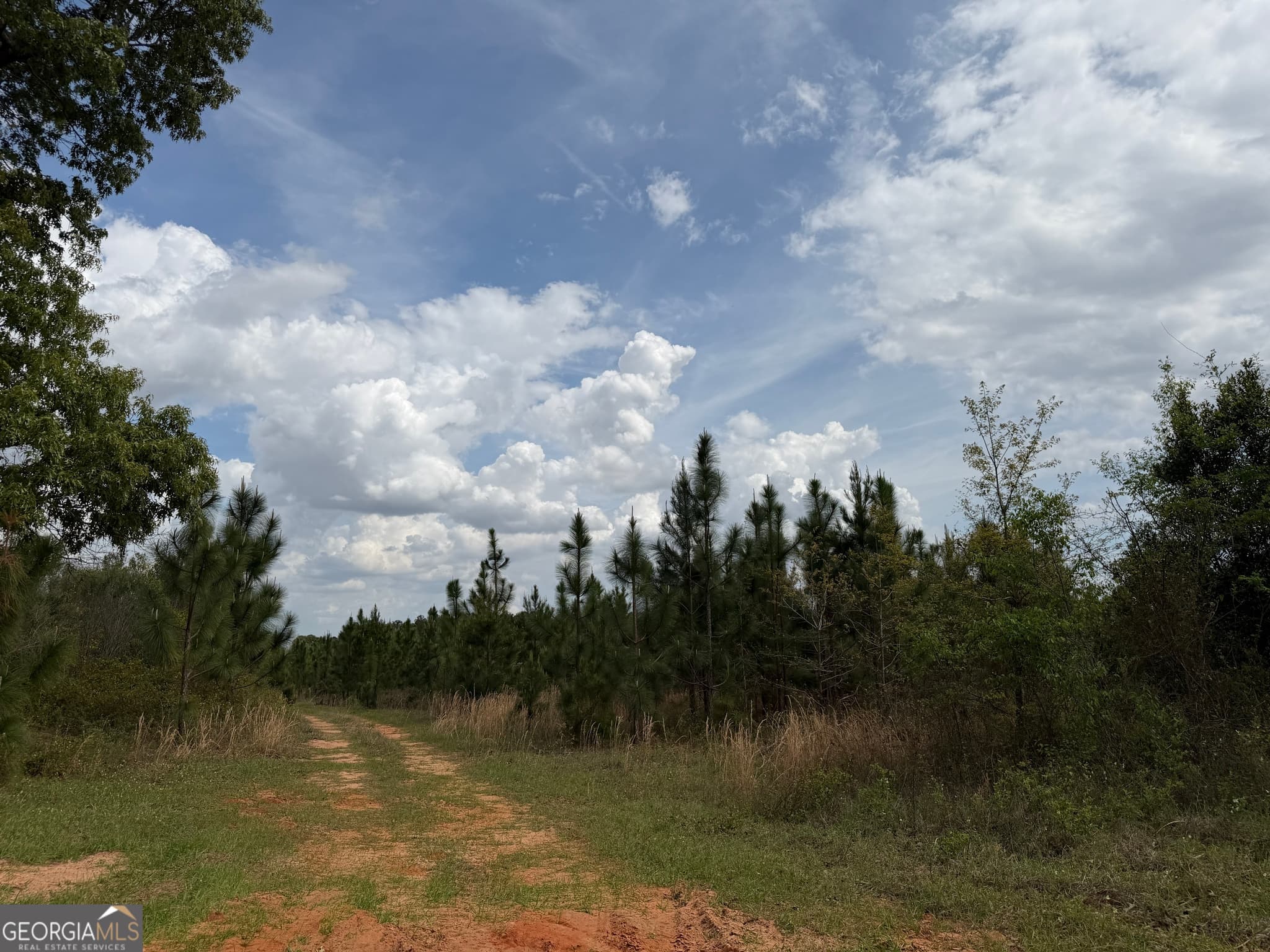 agriculture for sale at 09 Barge Road, Lumpkin, GA 31815 — photo 4