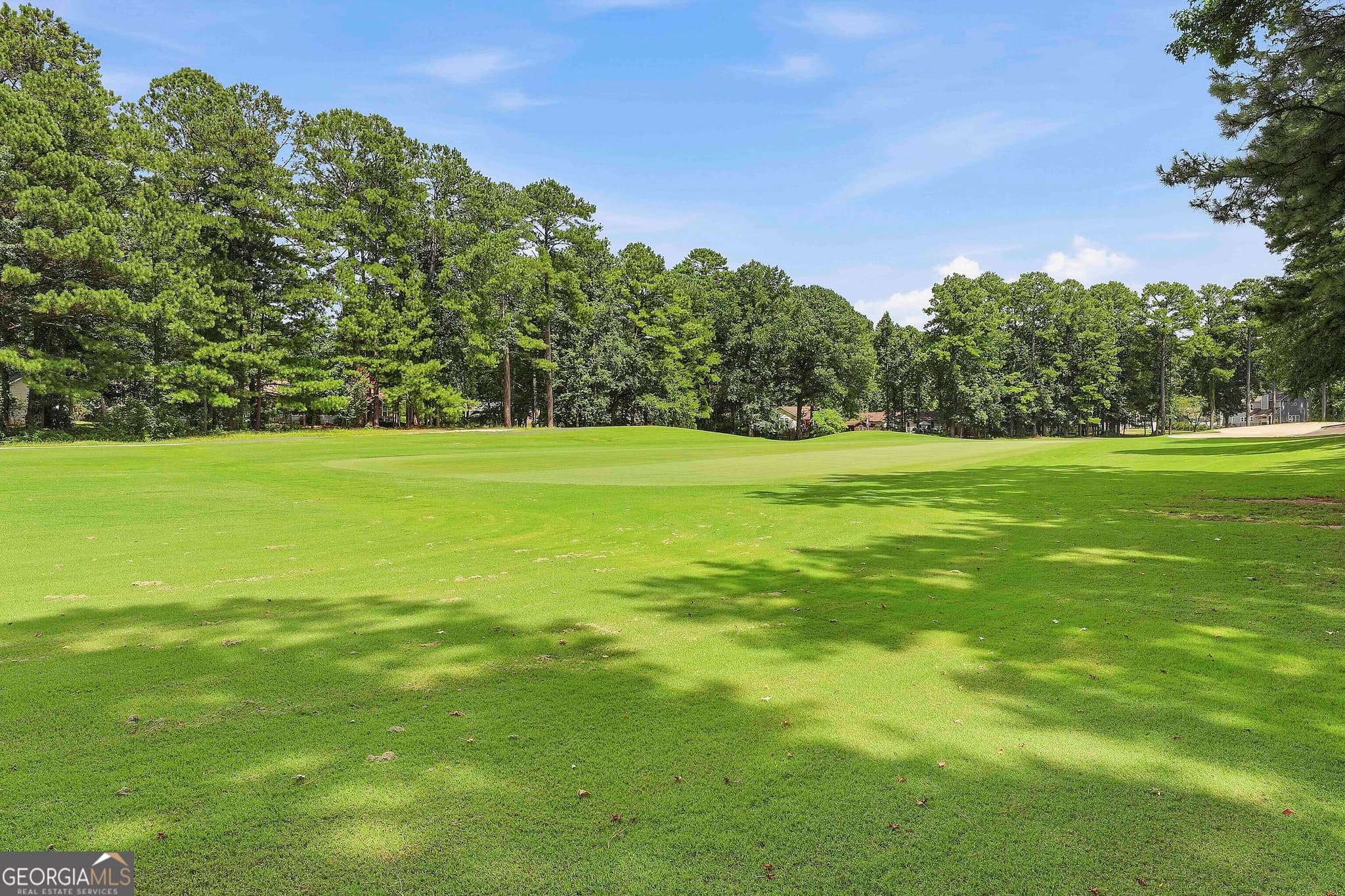 4 bedroom, 2 bathroom, 1,876 sq ft single family residence for sale at 422 Hampton Green, Peachtree City, GA 30269 — photo 2