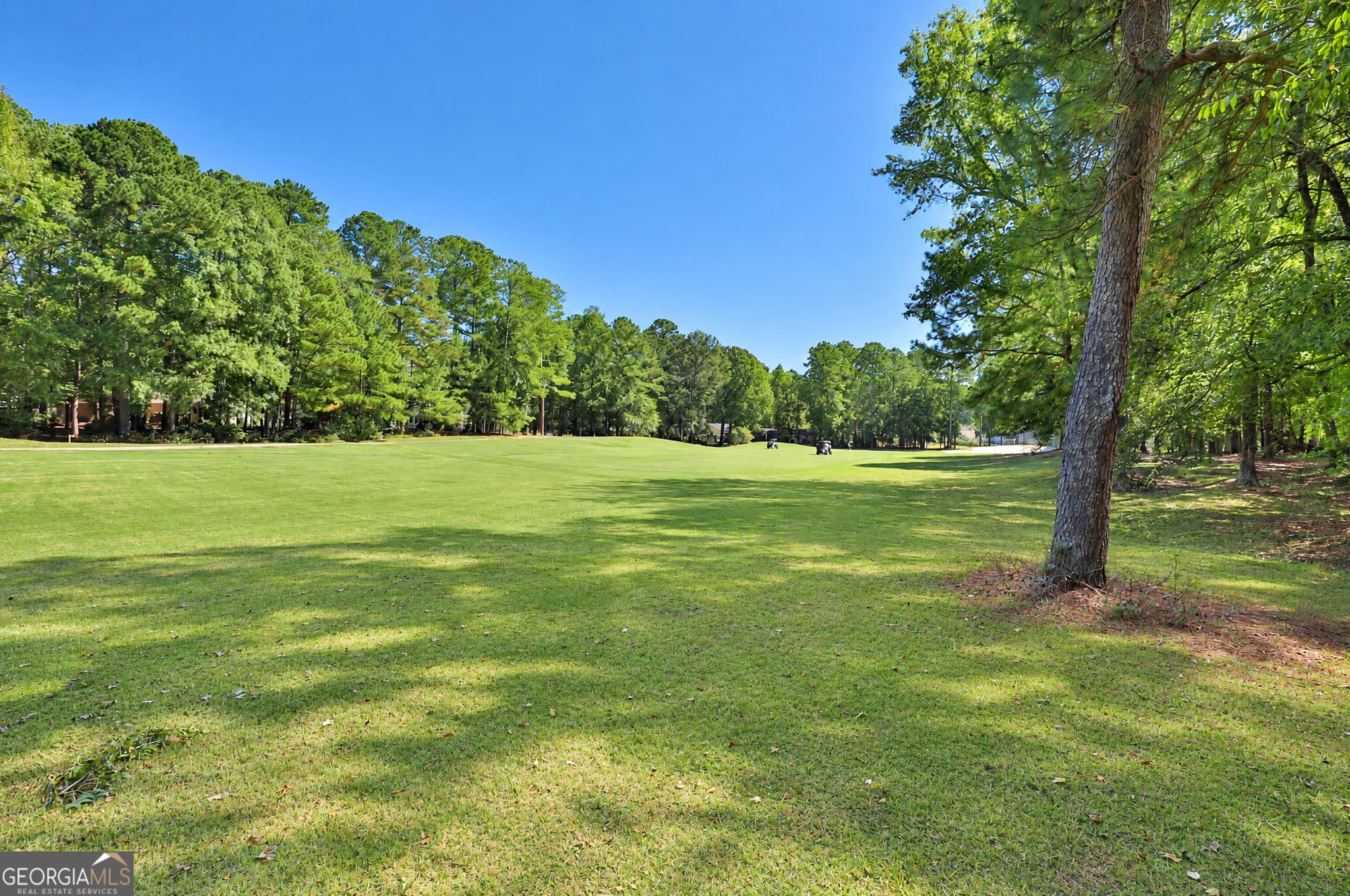 4 bedroom, 2 bathroom, 1,876 sq ft single family residence for sale at 422 Hampton Green, Peachtree City, GA 30269 — photo 3