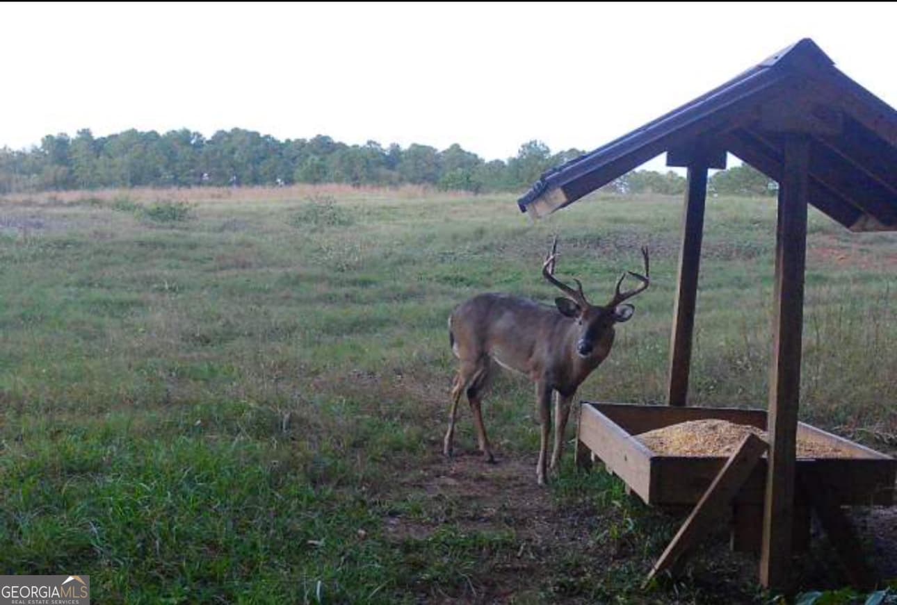 agriculture sold at 0 Hwy 80, Talbotton, GA 31827
