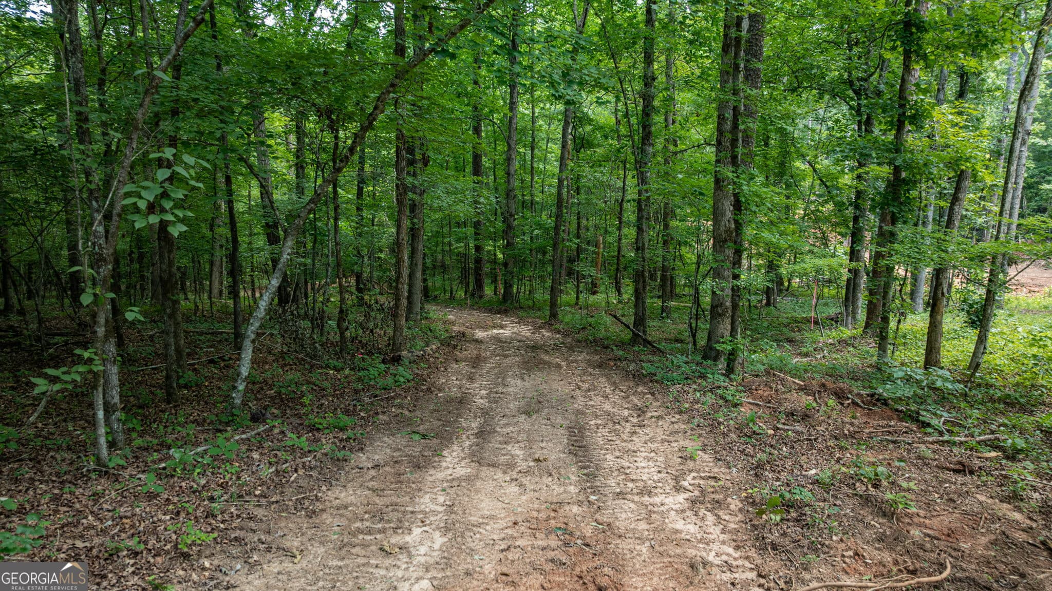 unimproved land for sale at 543 Faust Farm Road, Crawford, GA 30630 — photo 6
