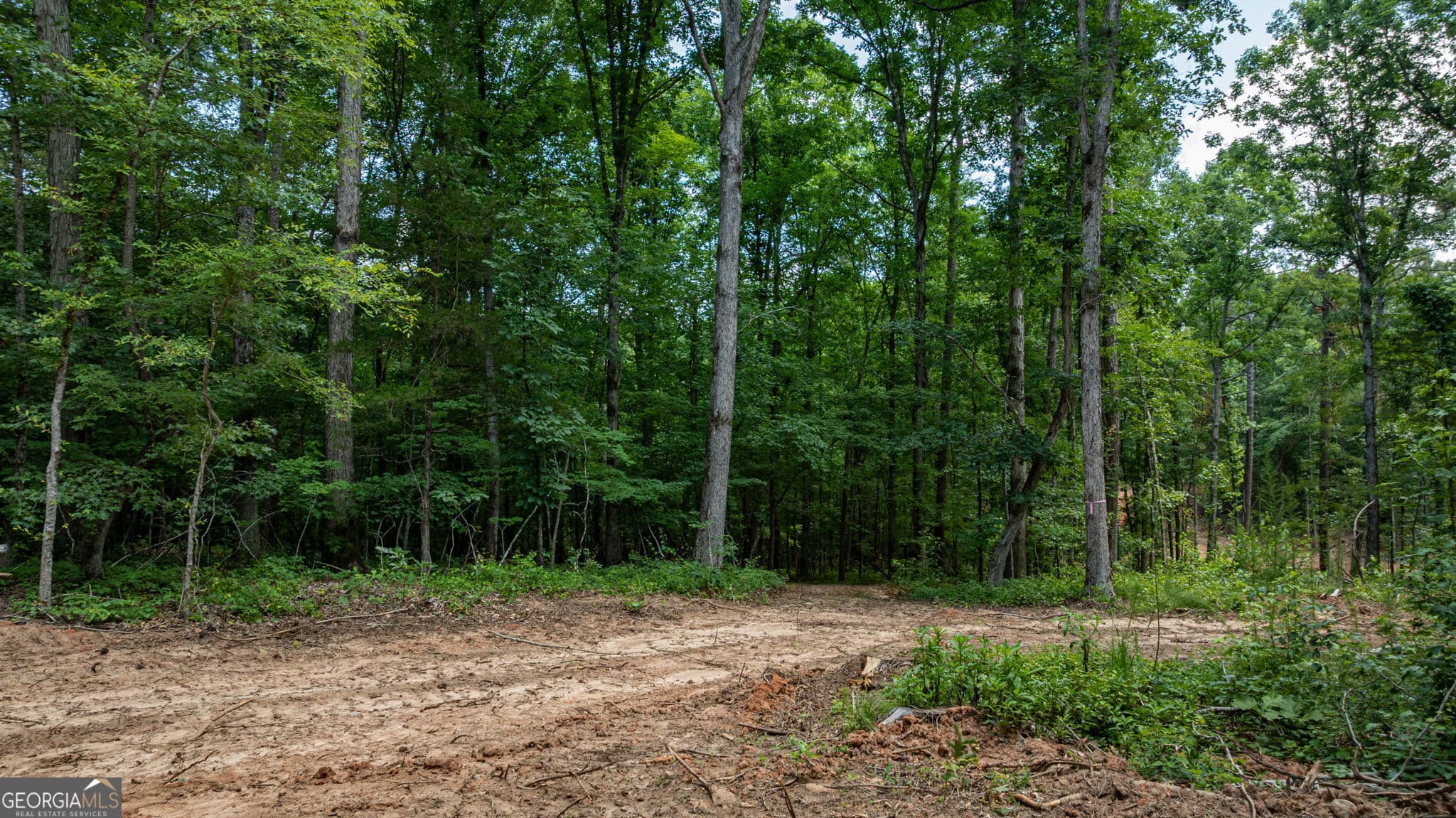 unimproved land for sale at 543 Faust Farm Road, Crawford, GA 30630 — photo 7