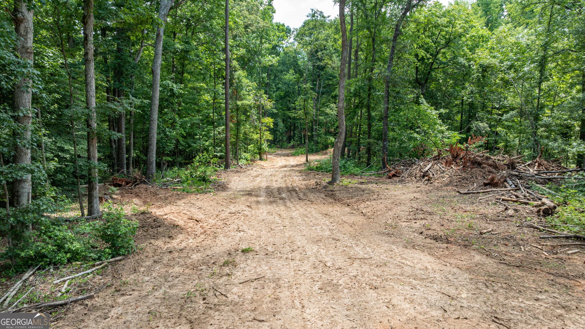 unimproved land for sale at 543 Faust Farm Road, Crawford, GA 30630 — photo 5