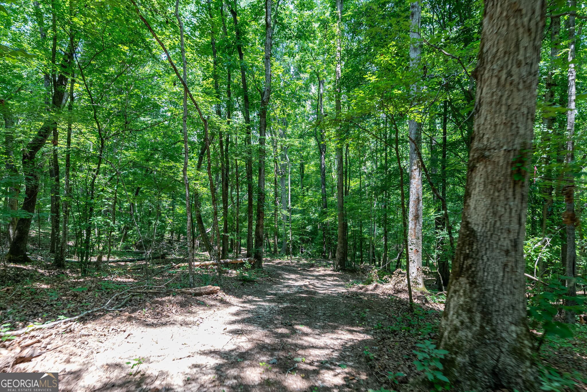 unimproved land for sale at 543 Faust Farm Road, Crawford, GA 30630 — photo 9