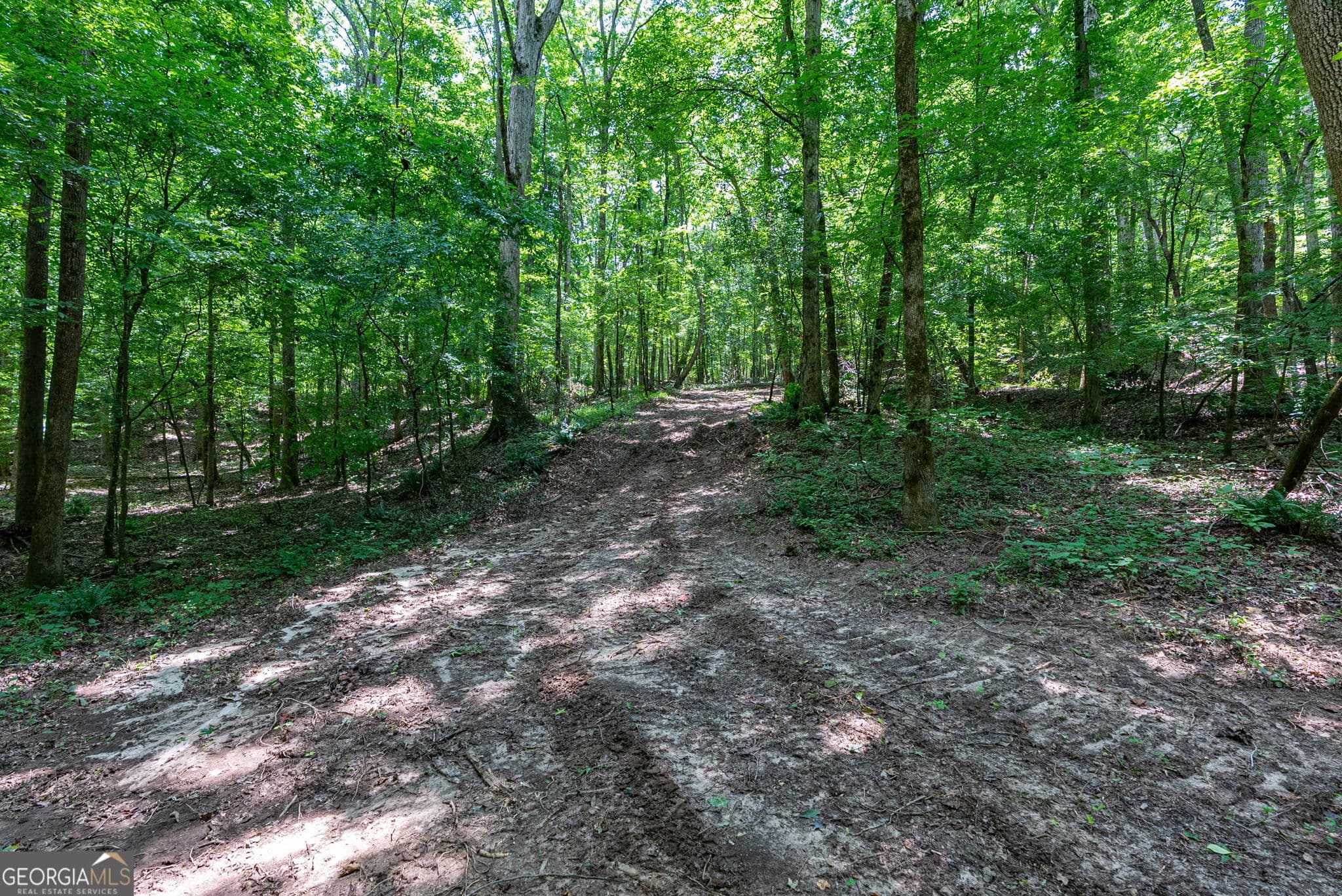 unimproved land for sale at 543 Faust Farm Road, Crawford, GA 30630 — photo 10