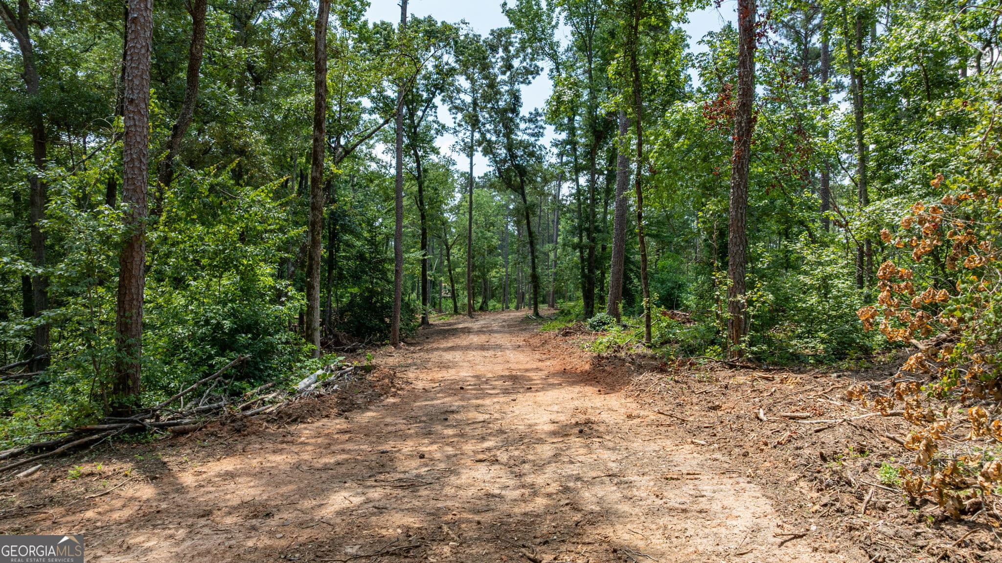 unimproved land for sale at 543 Faust Farm Road, Crawford, GA 30630 — photo 4