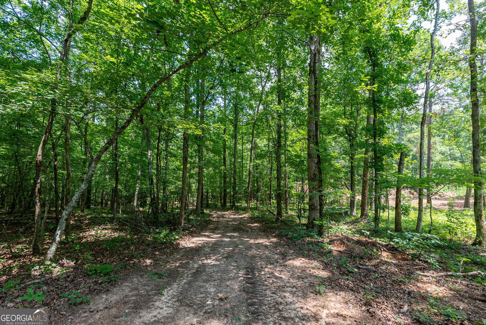 unimproved land for sale at 543 Faust Farm Road, Crawford, GA 30630 — photo 8