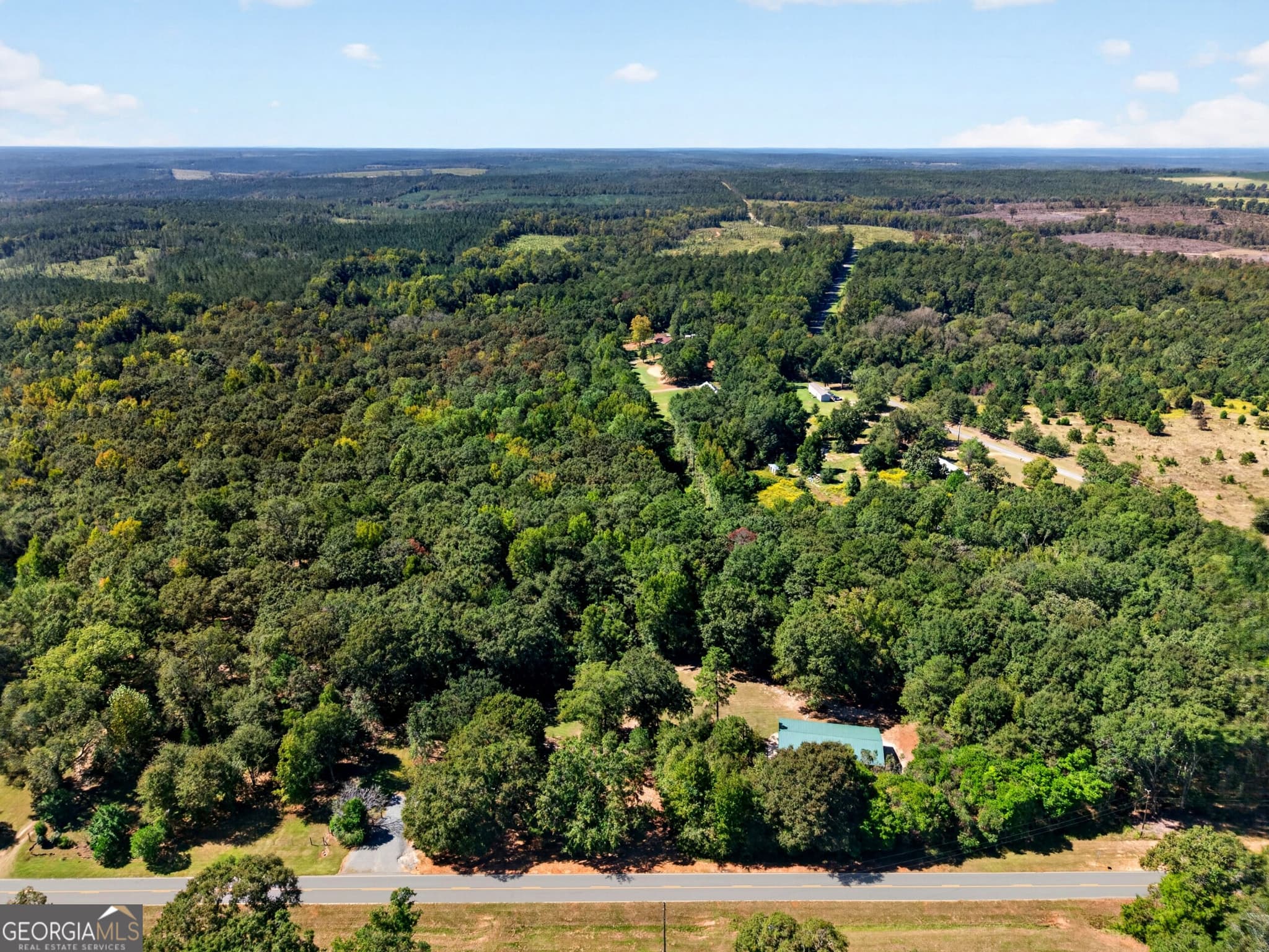 2 bedroom, 2 bathroom, 2,800 sq ft single family residence for sale at 1337 Johnny Miller Road, Buena Vista, GA 31803 — photo 5