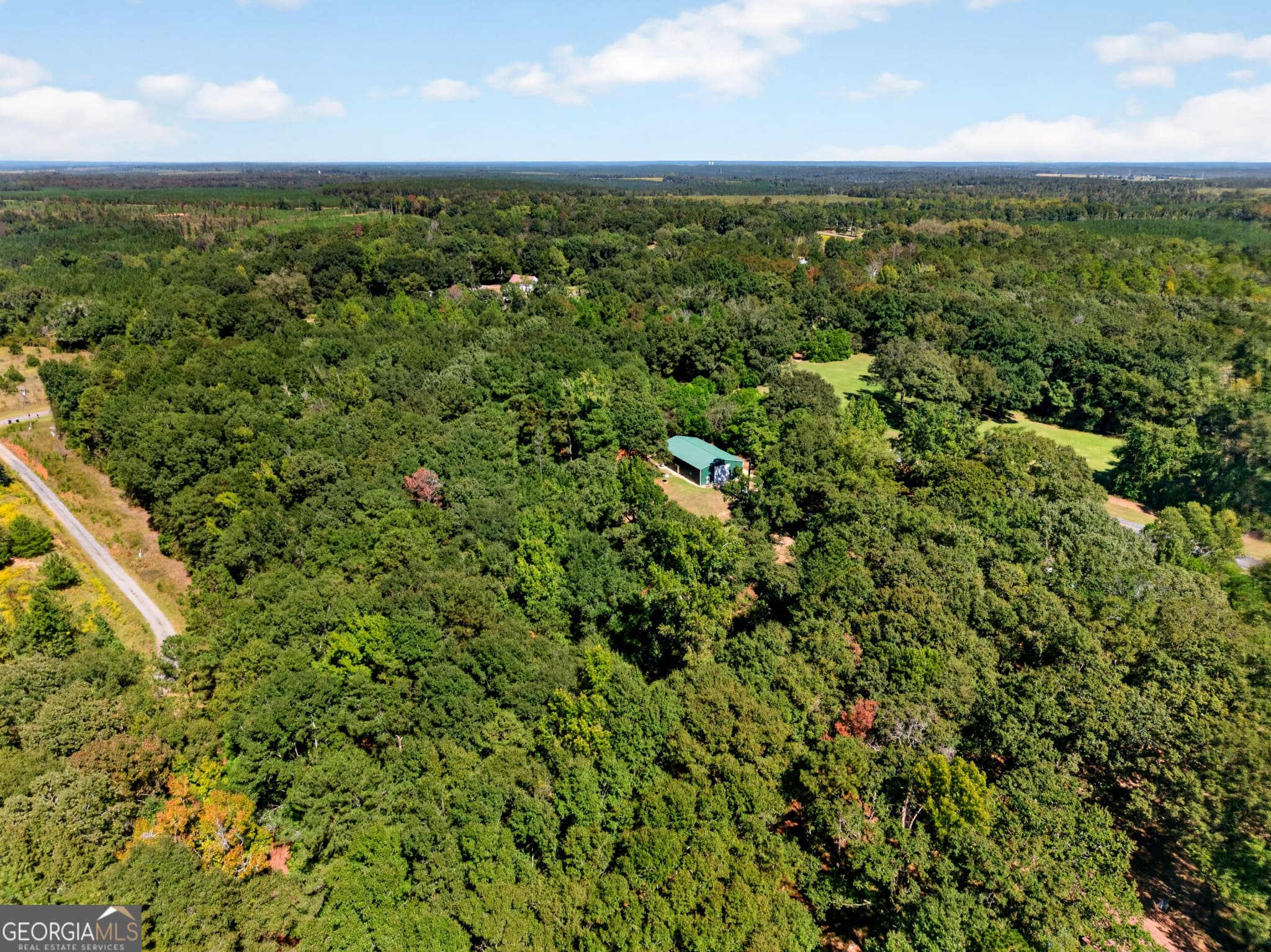 2 bedroom, 2 bathroom, 2,800 sq ft single family residence for sale at 1337 Johnny Miller Road, Buena Vista, GA 31803 — photo 9