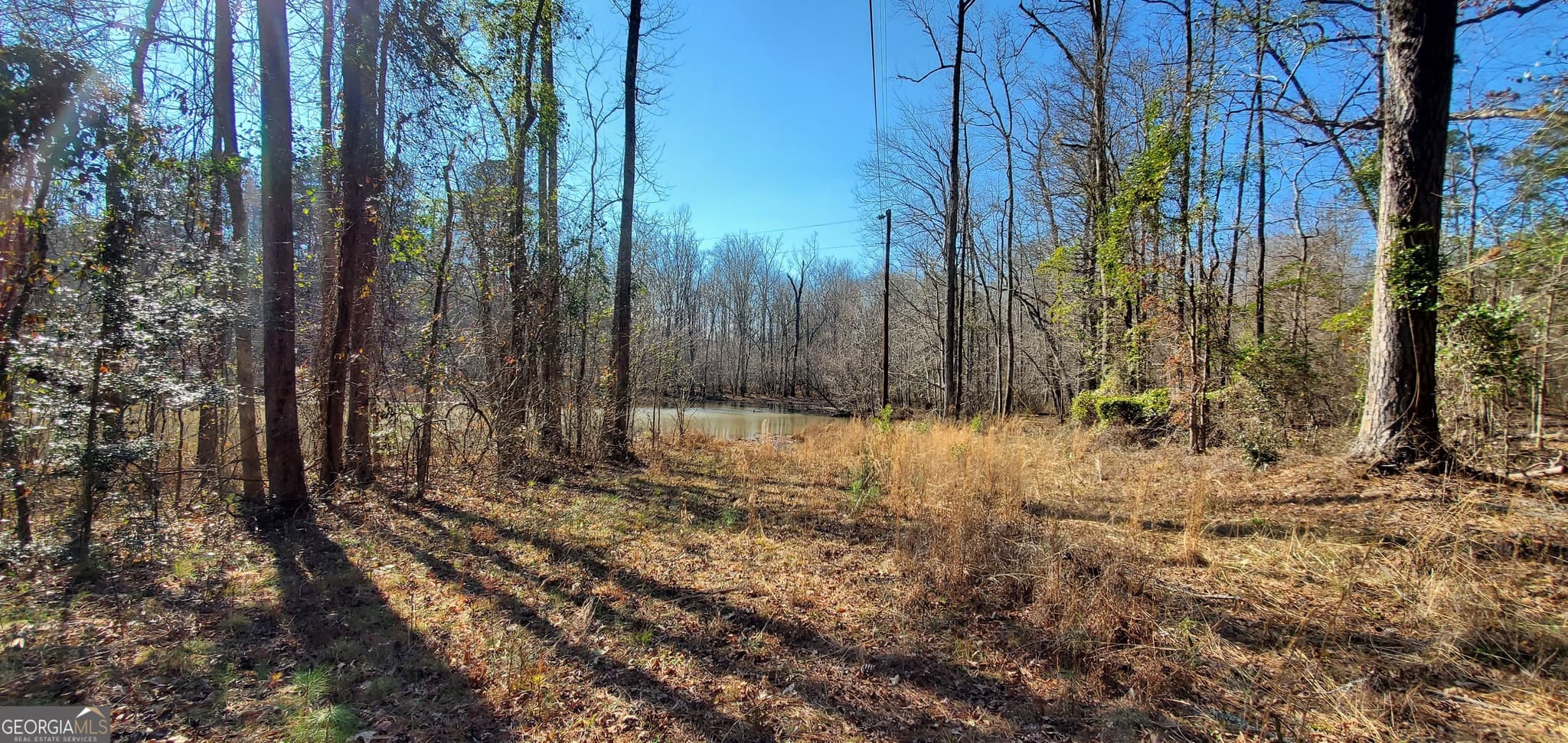 residential lot for sale at LOT 184 Southern Shores Road, Jackson, GA 30233 — photo 9