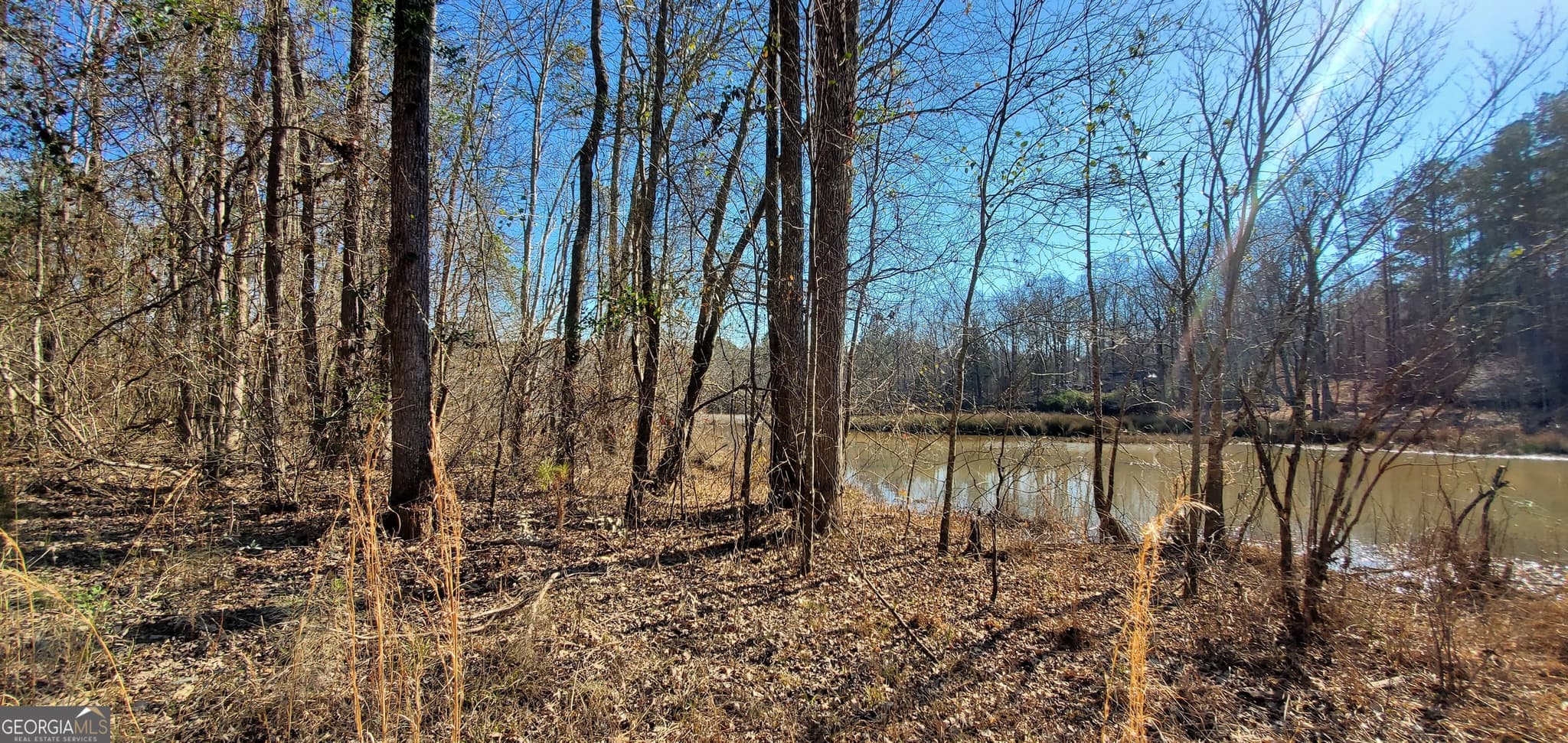 residential lot for sale at LOT 184 Southern Shores Road, Jackson, GA 30233 — photo 10