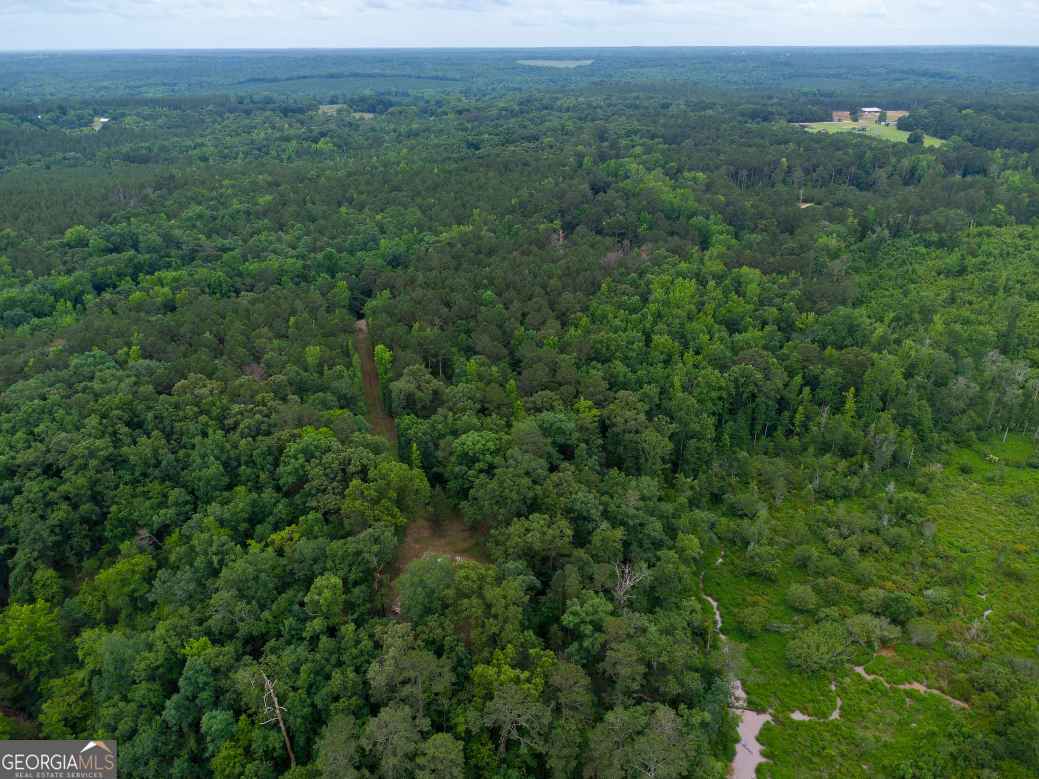 agriculture for sale at 331 Potts Pond Road, Barnesville, GA 30204 — photo 6