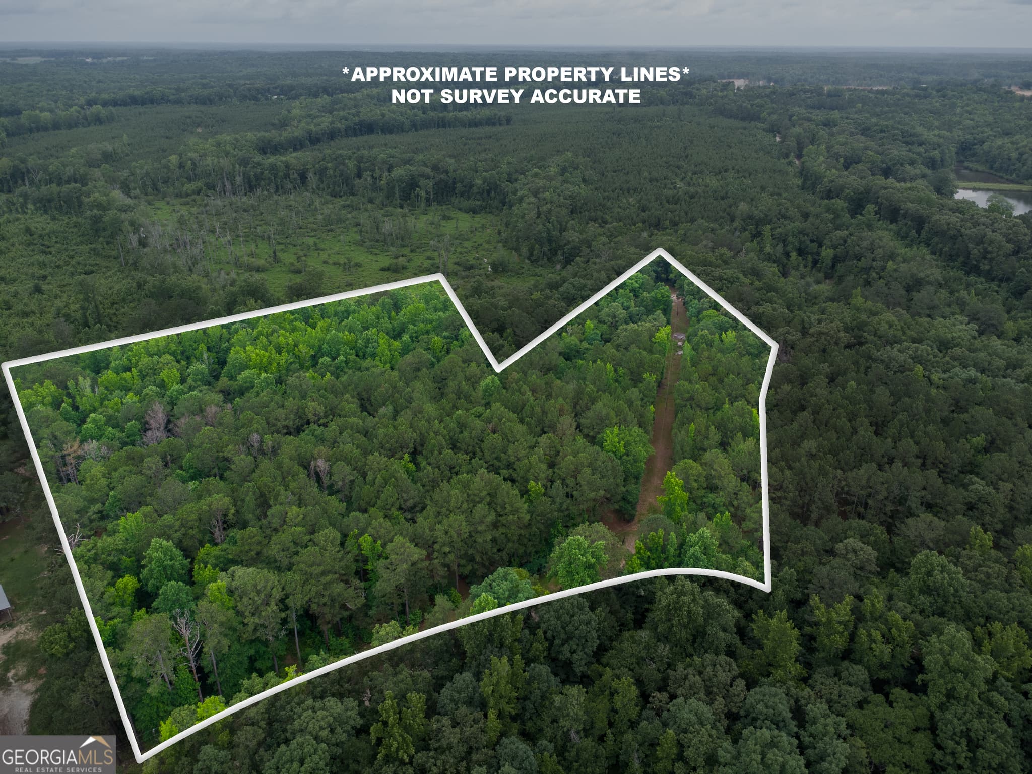 agriculture for sale at 331 Potts Pond Road, Barnesville, GA 30204 — photo 3