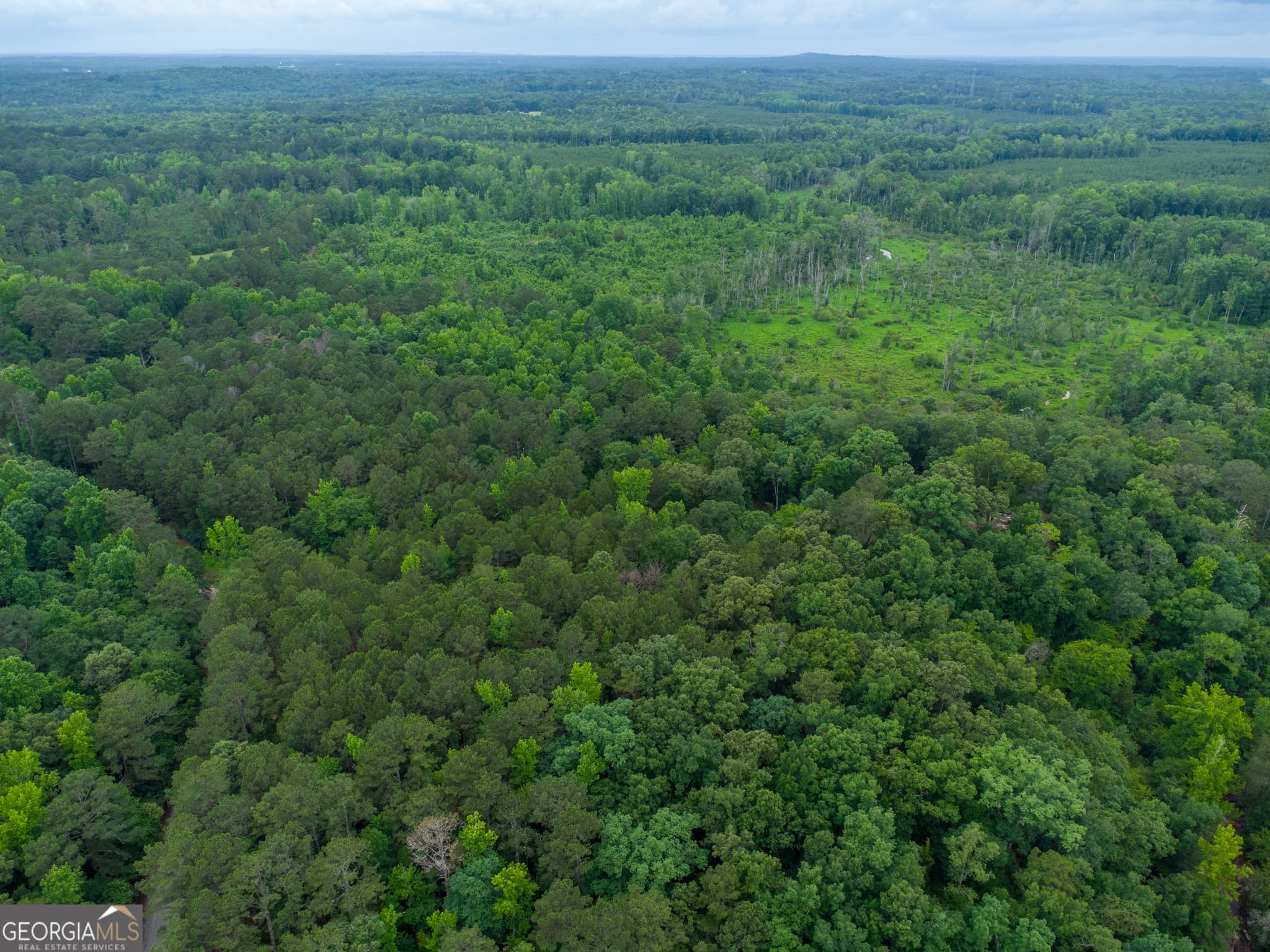 agriculture for sale at 331 Potts Pond Road, Barnesville, GA 30204 — photo 5